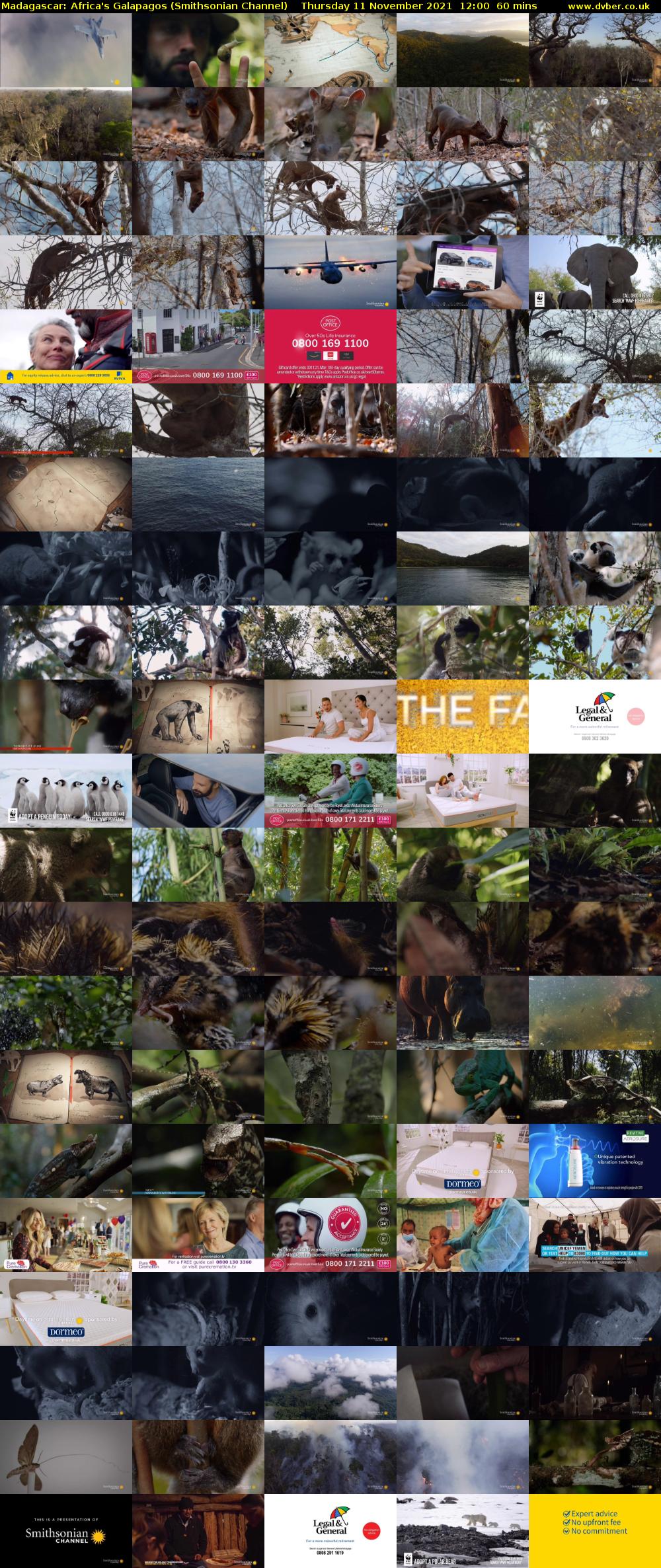 Madagascar: Africa's Galapagos (Smithsonian Channel) Thursday 11 November 2021 12:00 - 13:00