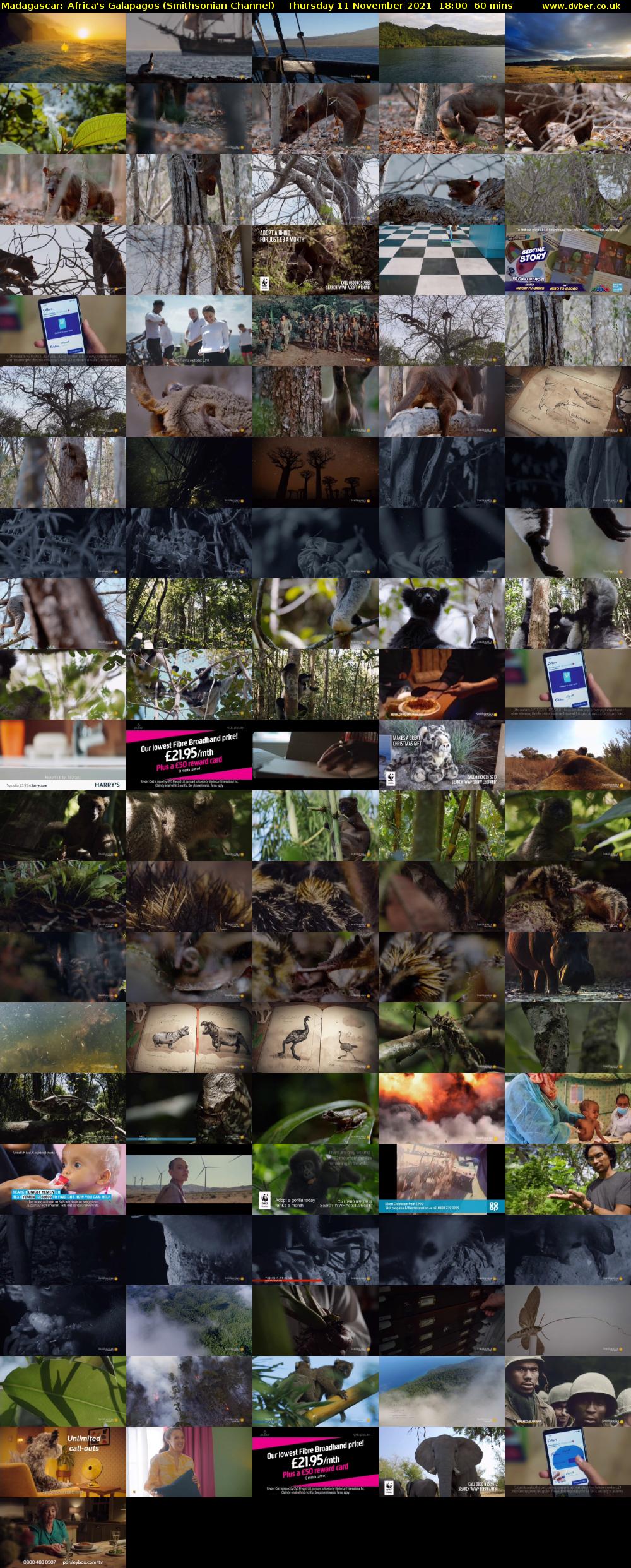 Madagascar: Africa's Galapagos (Smithsonian Channel) Thursday 11 November 2021 18:00 - 19:00