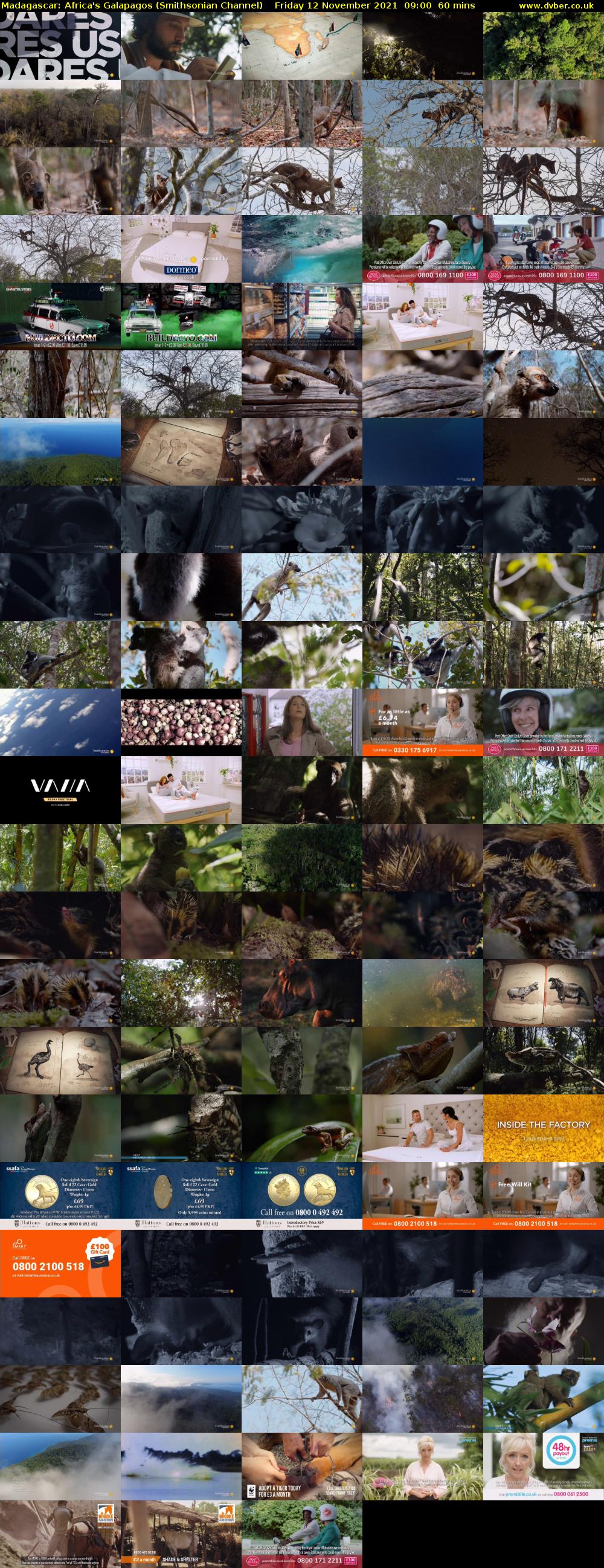 Madagascar: Africa's Galapagos (Smithsonian Channel) Friday 12 November 2021 09:00 - 10:00