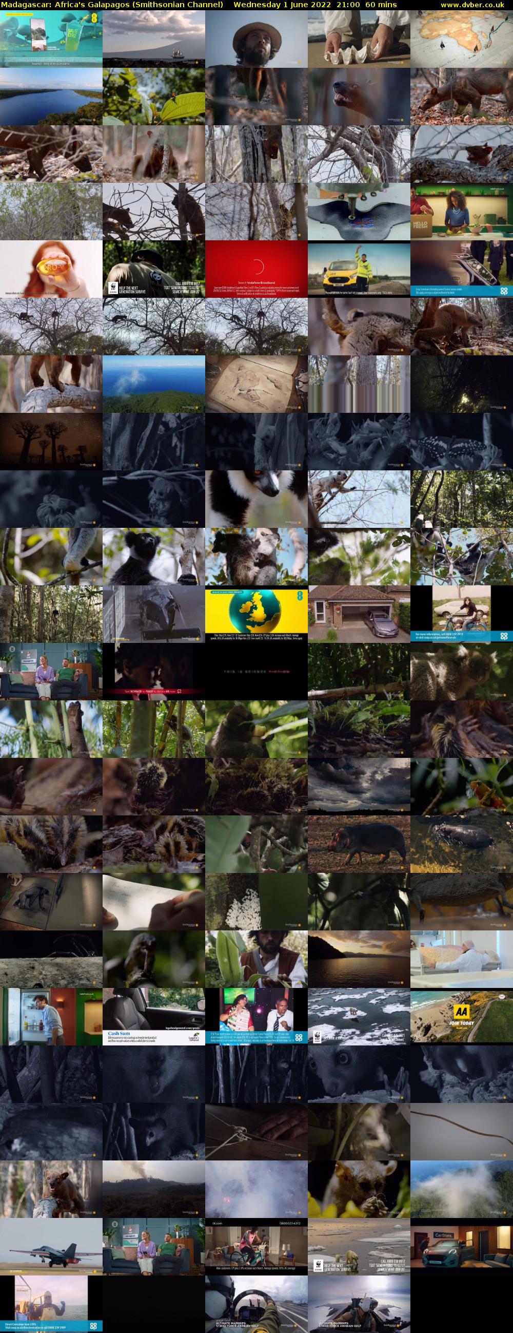 Madagascar: Africa's Galapagos (Smithsonian Channel) Wednesday 1 June 2022 21:00 - 22:00