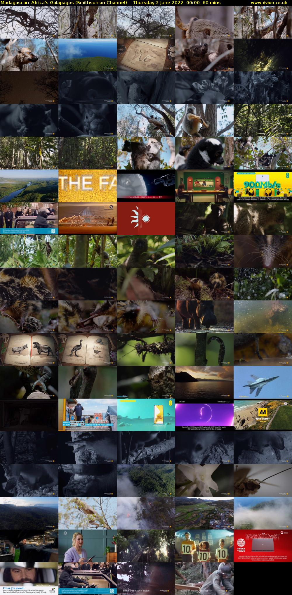 Madagascar: Africa's Galapagos (Smithsonian Channel) Thursday 2 June 2022 00:00 - 01:00