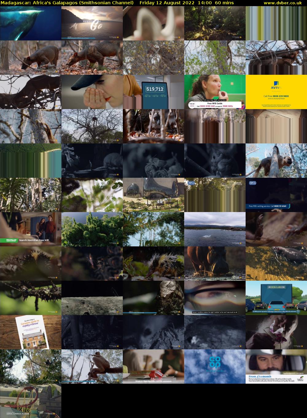 Madagascar: Africa's Galapagos (Smithsonian Channel) Friday 12 August 2022 14:00 - 15:00
