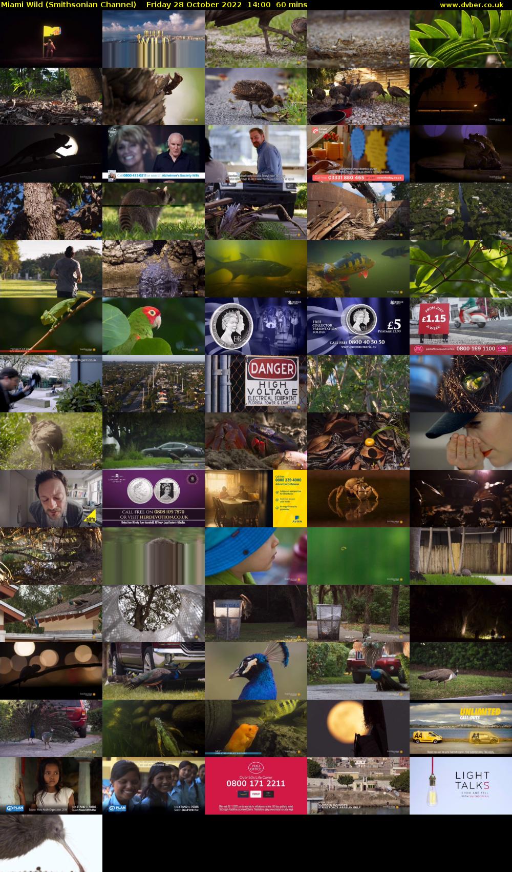 Miami Wild (Smithsonian Channel) Friday 28 October 2022 14:00 - 15:00