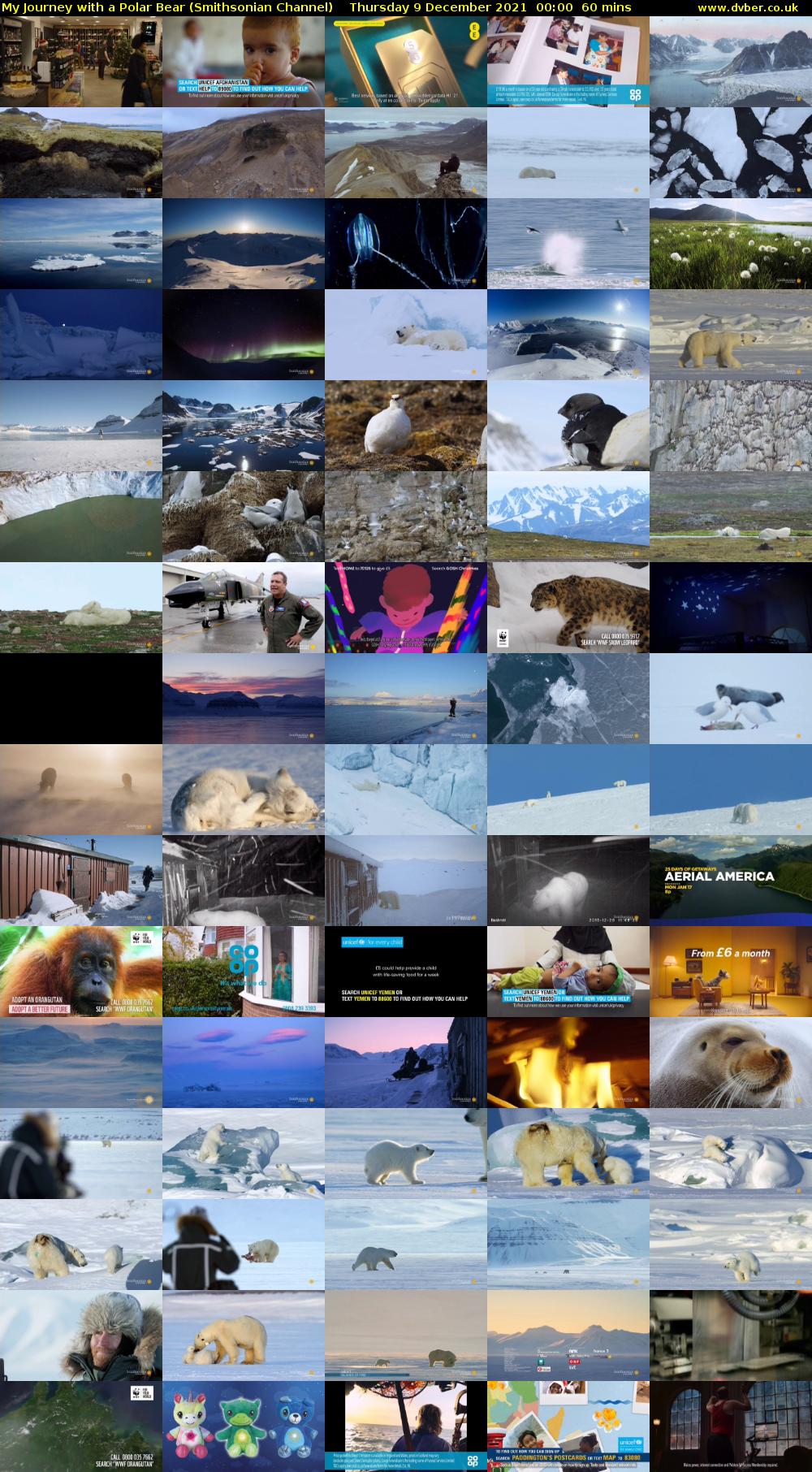My Journey with a Polar Bear (Smithsonian Channel) Thursday 9 December 2021 00:00 - 01:00