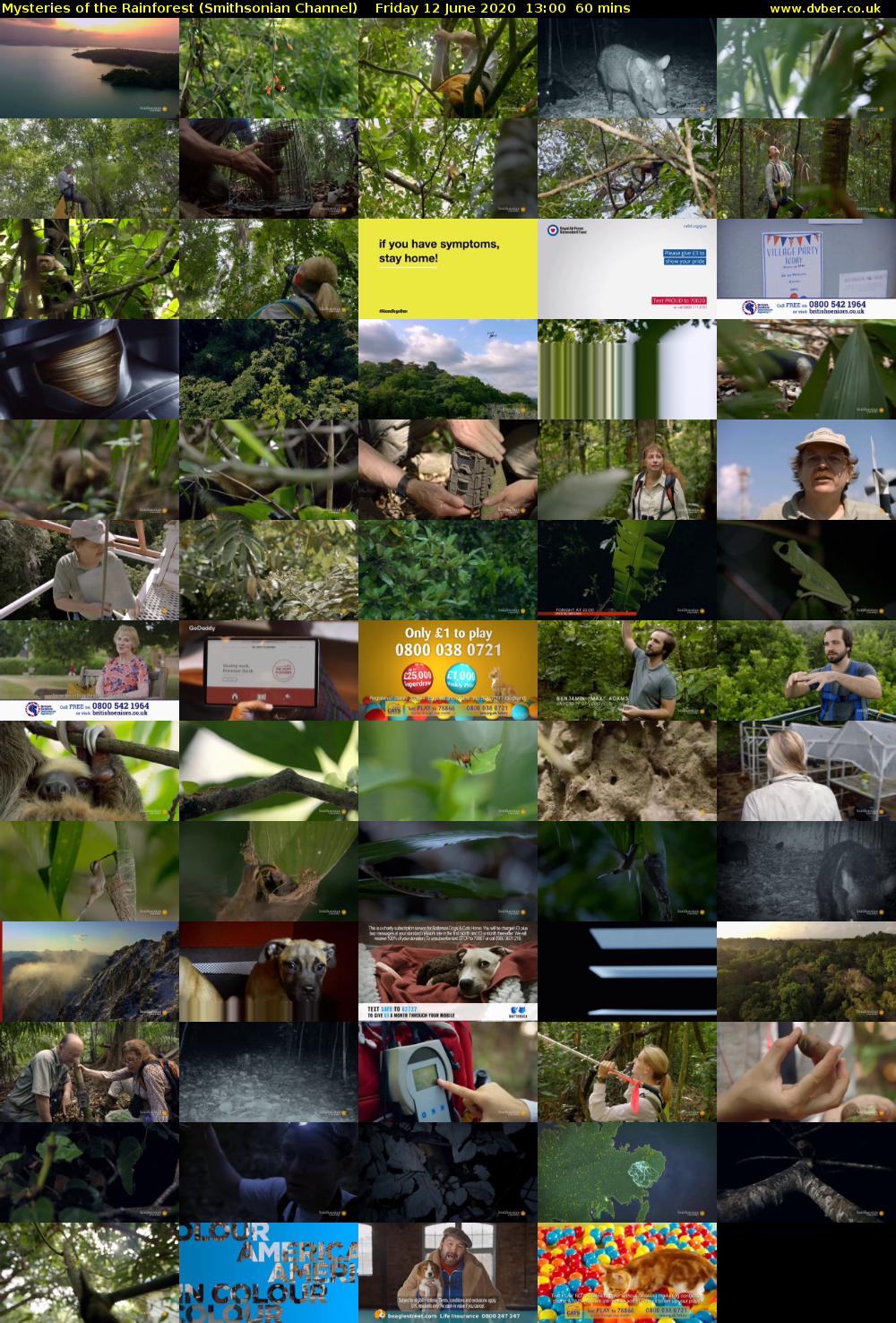 Mysteries of the Rainforest (Smithsonian Channel) Friday 12 June 2020 13:00 - 14:00