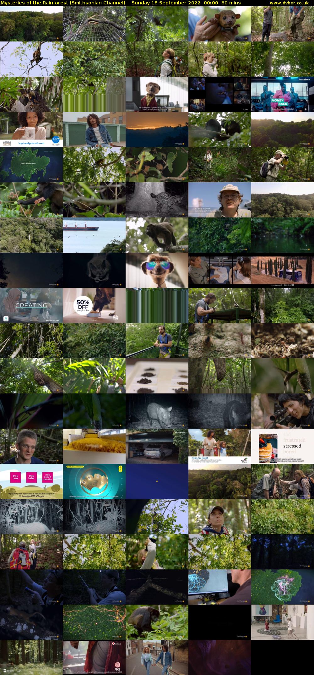 Mysteries of the Rainforest (Smithsonian Channel) Sunday 18 September 2022 00:00 - 01:00