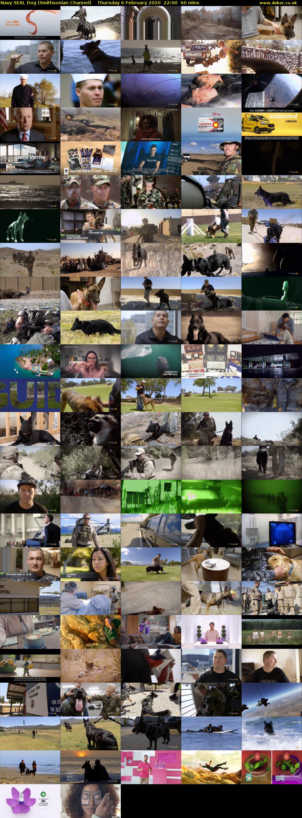 Navy SEAL Dog (Smithsonian Channel) Thursday 6 February 2020 22:00 - 23:00