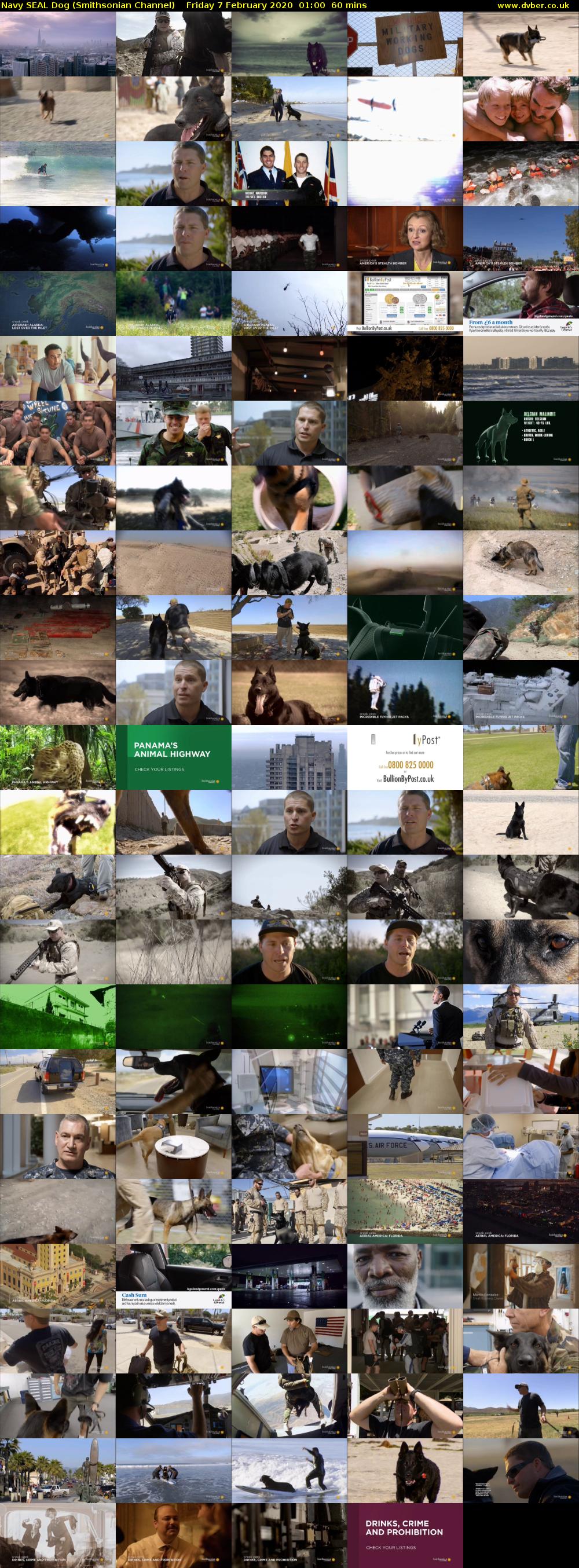 Navy SEAL Dog (Smithsonian Channel) Friday 7 February 2020 01:00 - 02:00