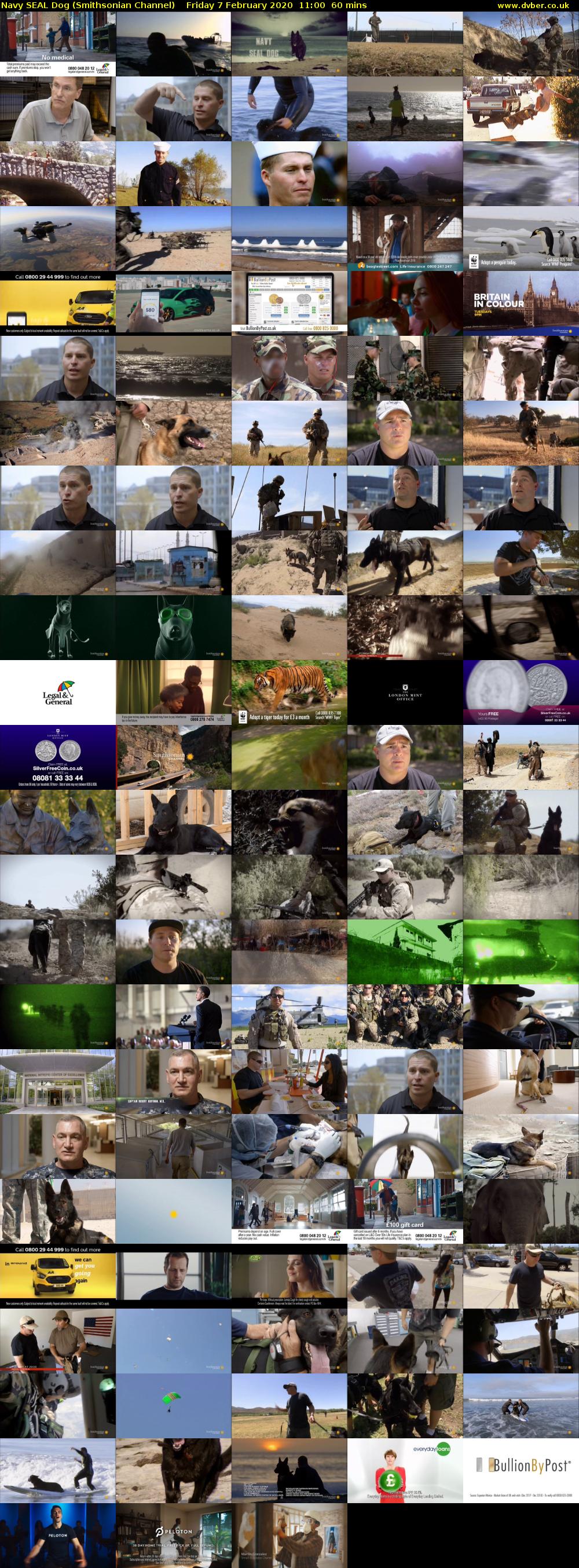 Navy SEAL Dog (Smithsonian Channel) Friday 7 February 2020 11:00 - 12:00