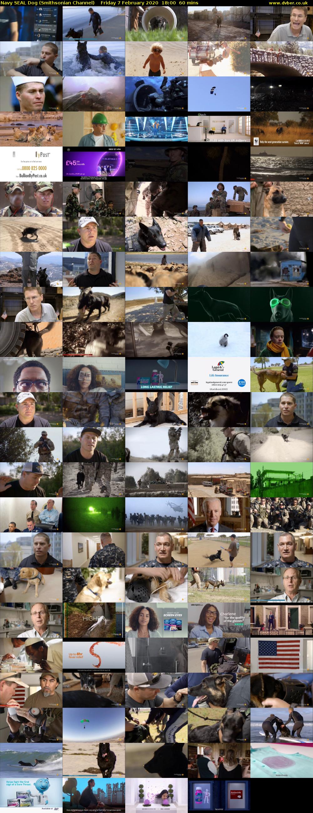 Navy SEAL Dog (Smithsonian Channel) Friday 7 February 2020 18:00 - 19:00