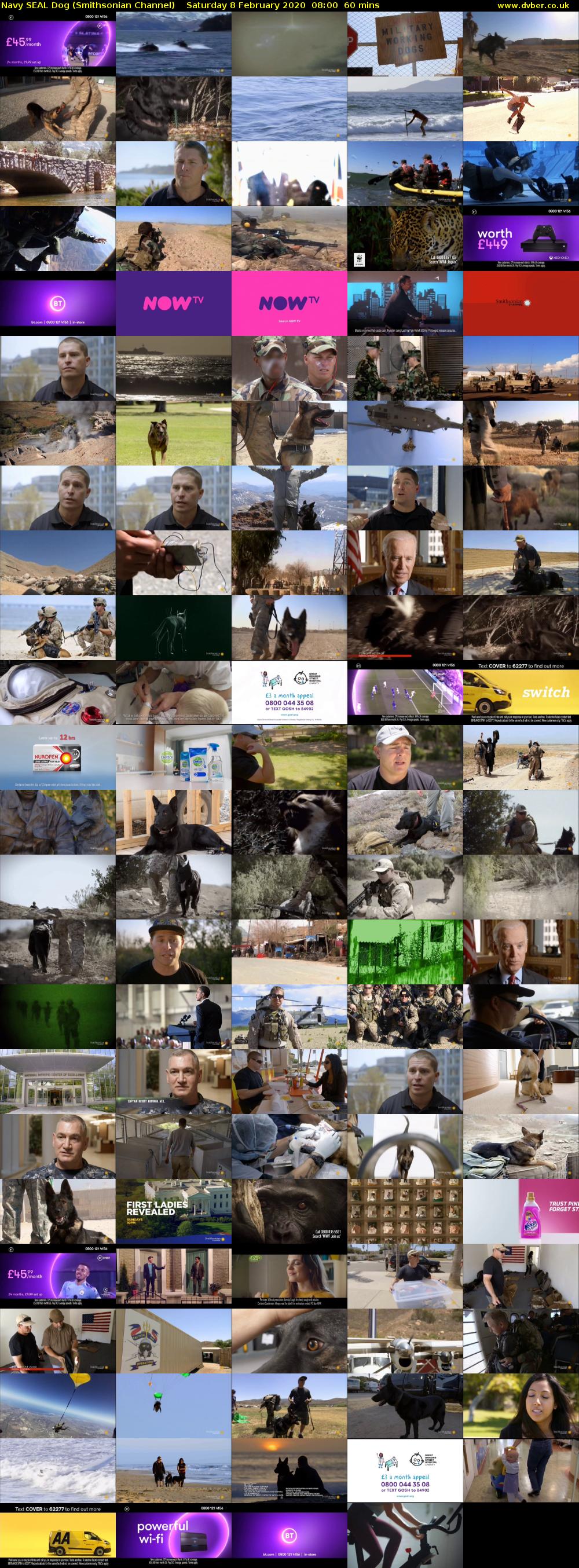 Navy SEAL Dog (Smithsonian Channel) Saturday 8 February 2020 08:00 - 09:00