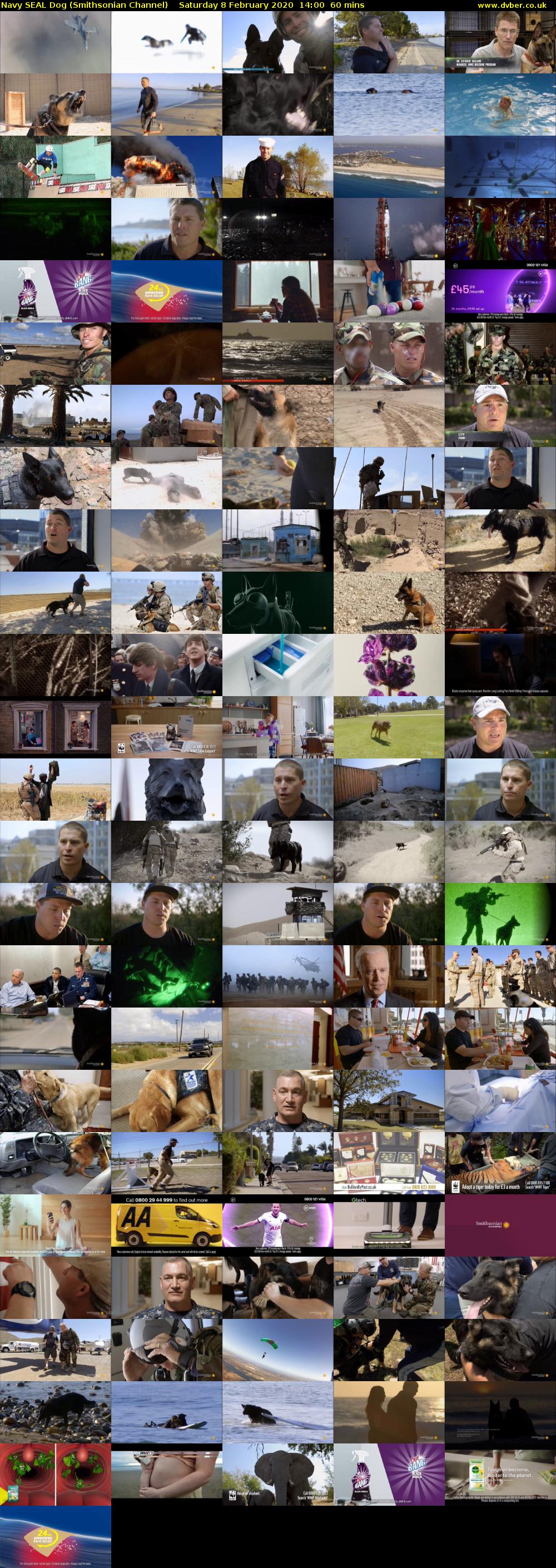 Navy SEAL Dog (Smithsonian Channel) Saturday 8 February 2020 14:00 - 15:00