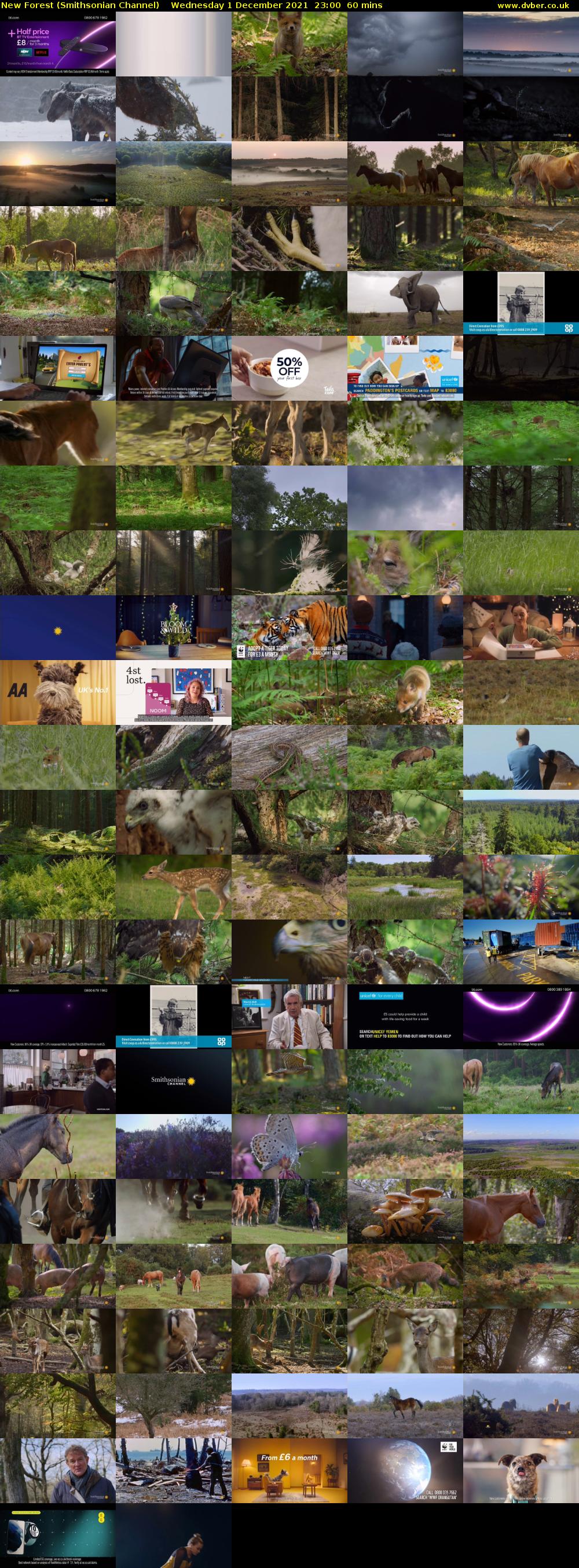 New Forest (Smithsonian Channel) Wednesday 1 December 2021 23:00 - 00:00