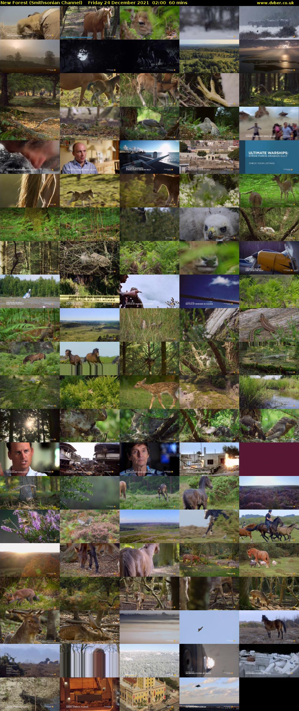 New Forest (Smithsonian Channel) Friday 24 December 2021 02:00 - 03:00