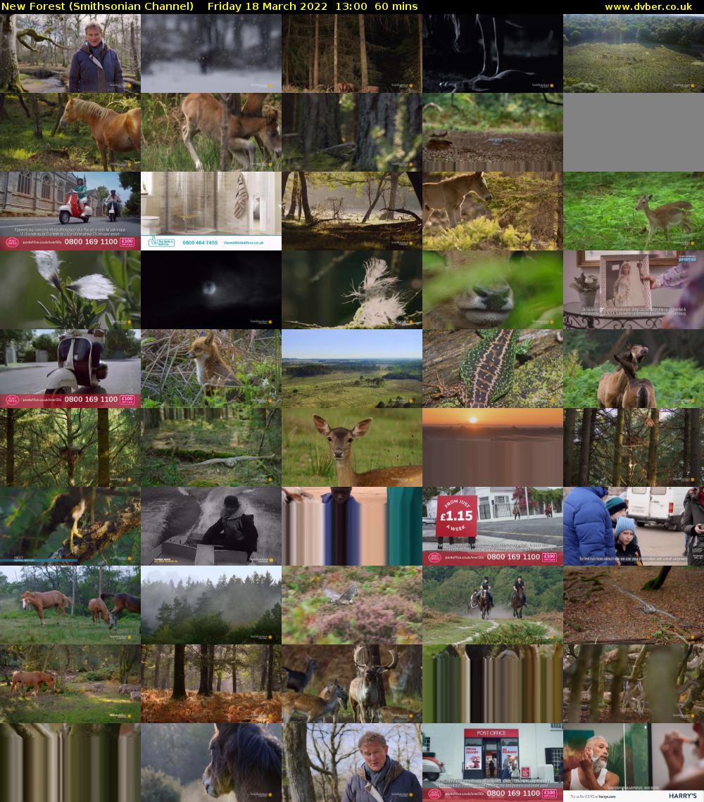 New Forest (Smithsonian Channel) Friday 18 March 2022 13:00 - 14:00