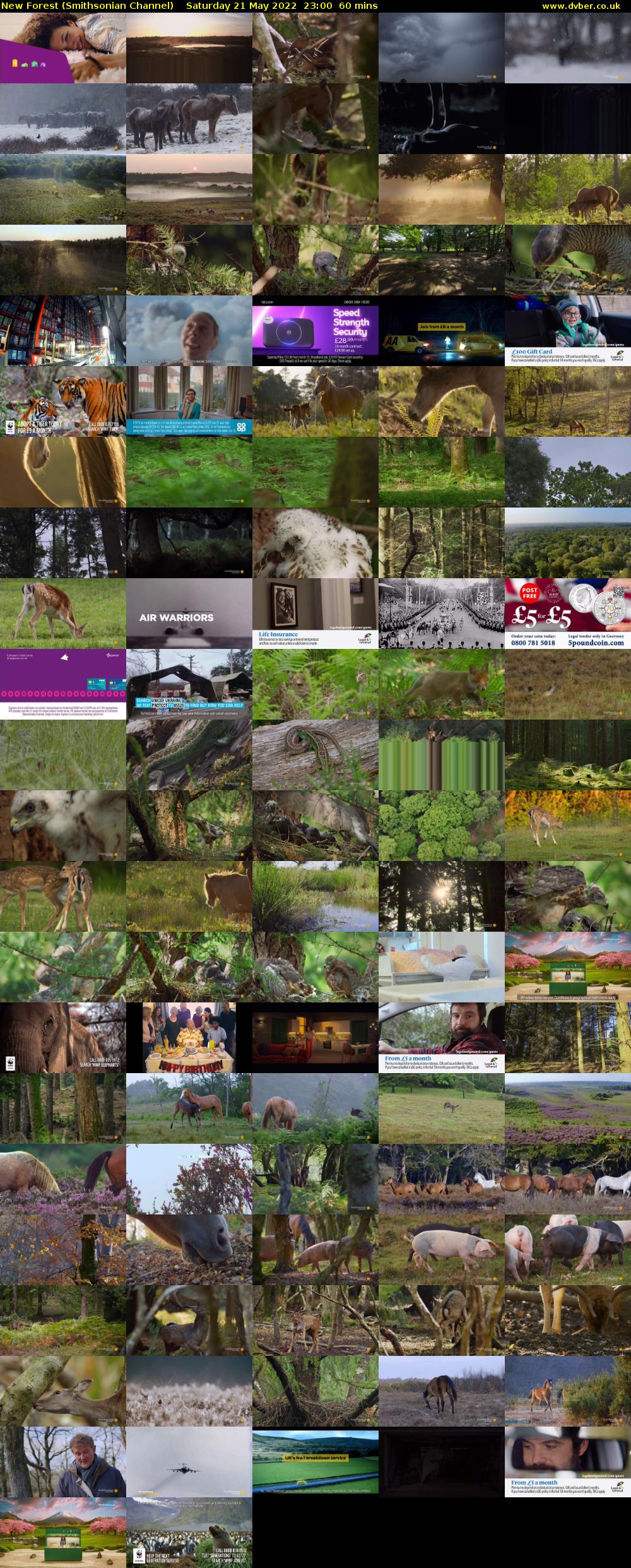 New Forest (Smithsonian Channel) Saturday 21 May 2022 23:00 - 00:00