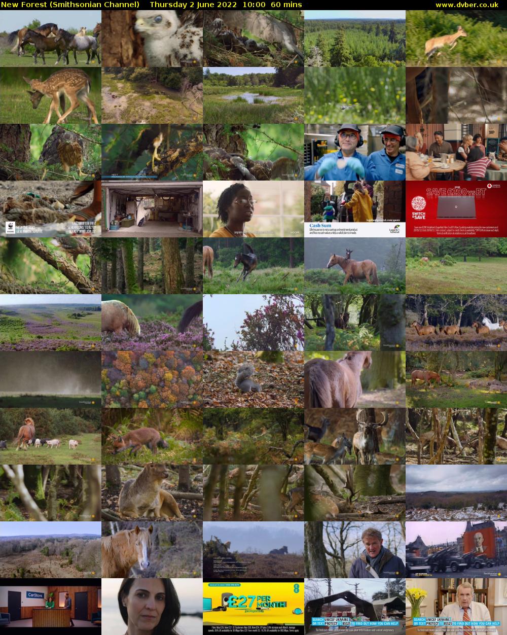 New Forest (Smithsonian Channel) Thursday 2 June 2022 10:00 - 11:00