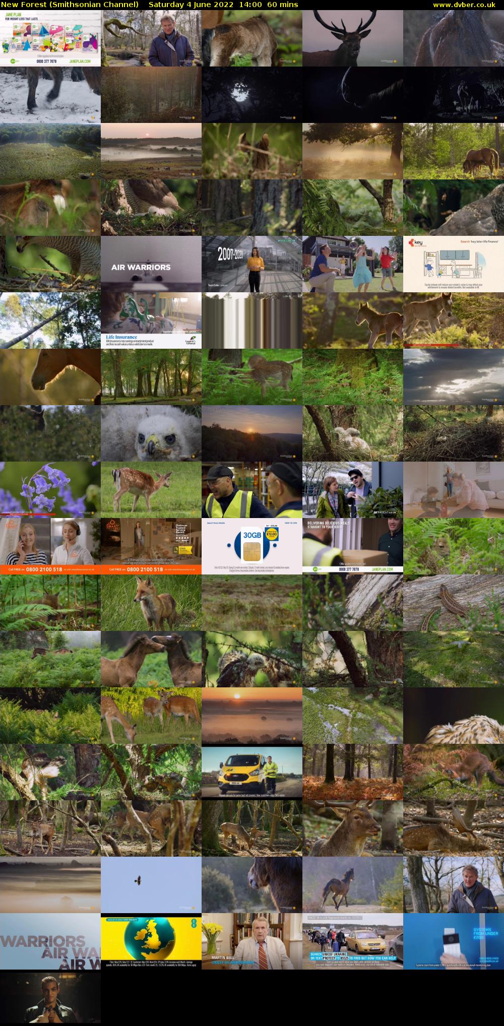 New Forest (Smithsonian Channel) Saturday 4 June 2022 14:00 - 15:00