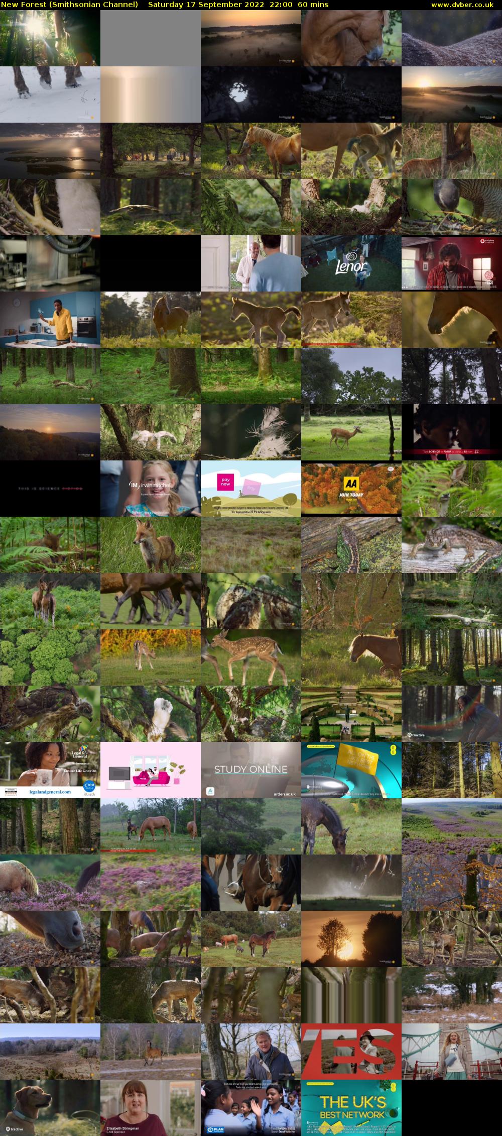 New Forest (Smithsonian Channel) Saturday 17 September 2022 22:00 - 23:00