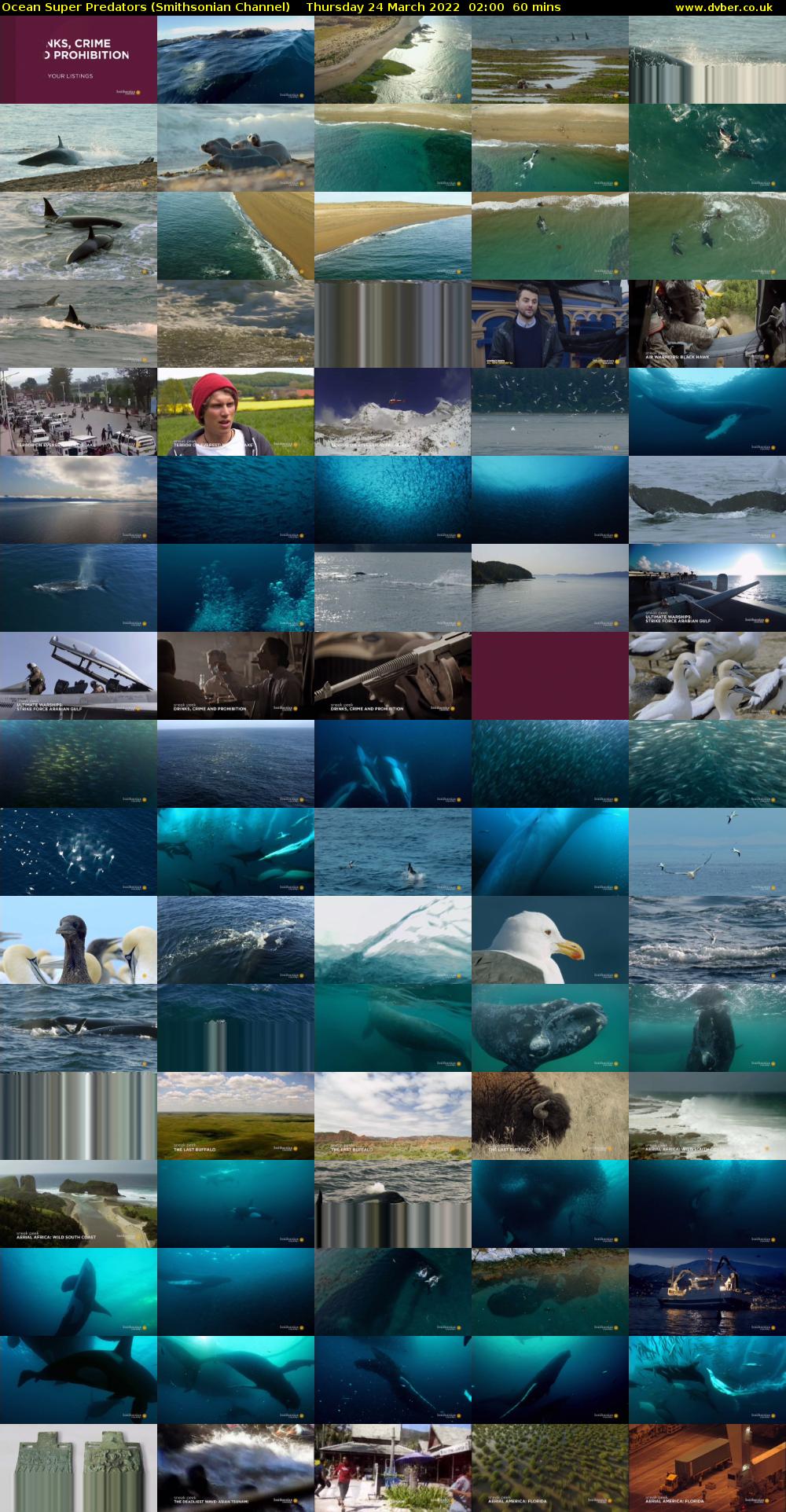 Ocean Super Predators (Smithsonian Channel) Thursday 24 March 2022 02:00 - 03:00