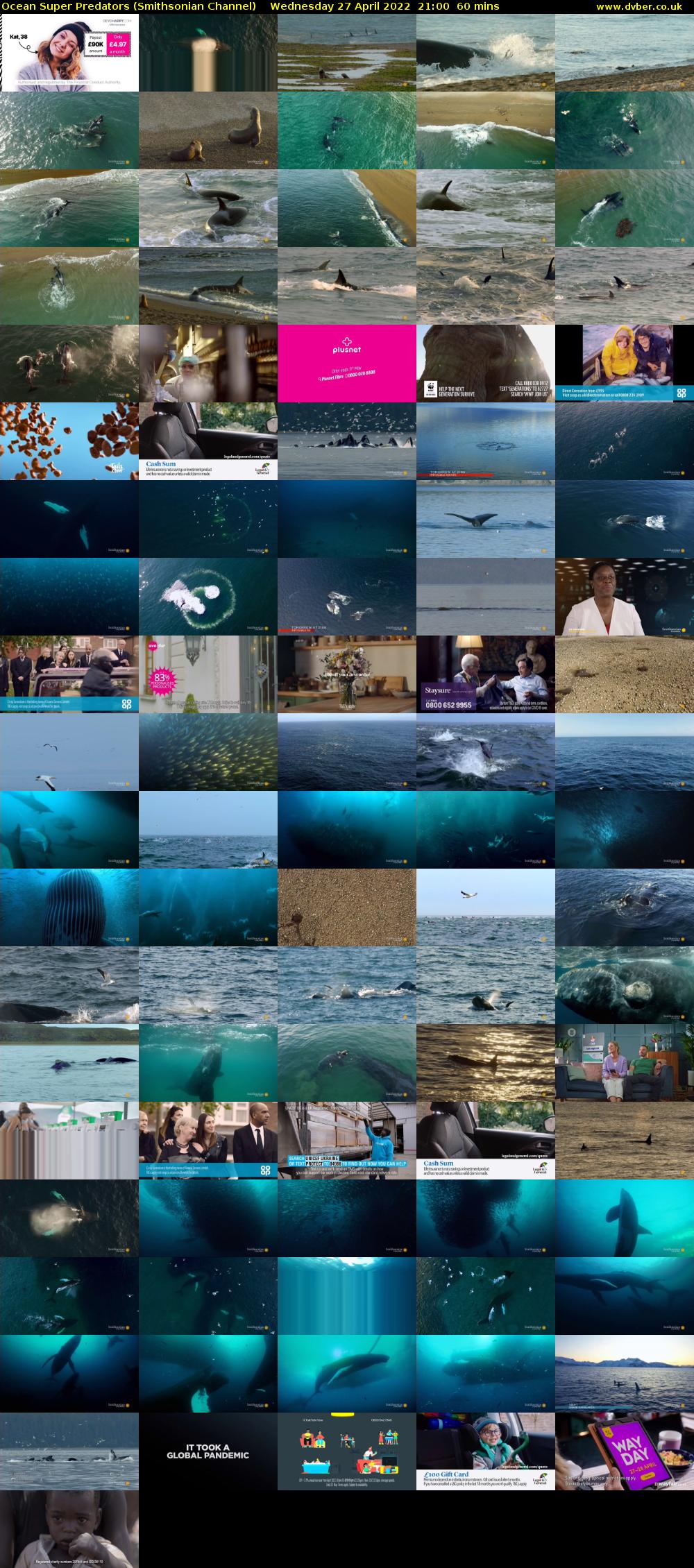 Ocean Super Predators (Smithsonian Channel) Wednesday 27 April 2022 21:00 - 22:00