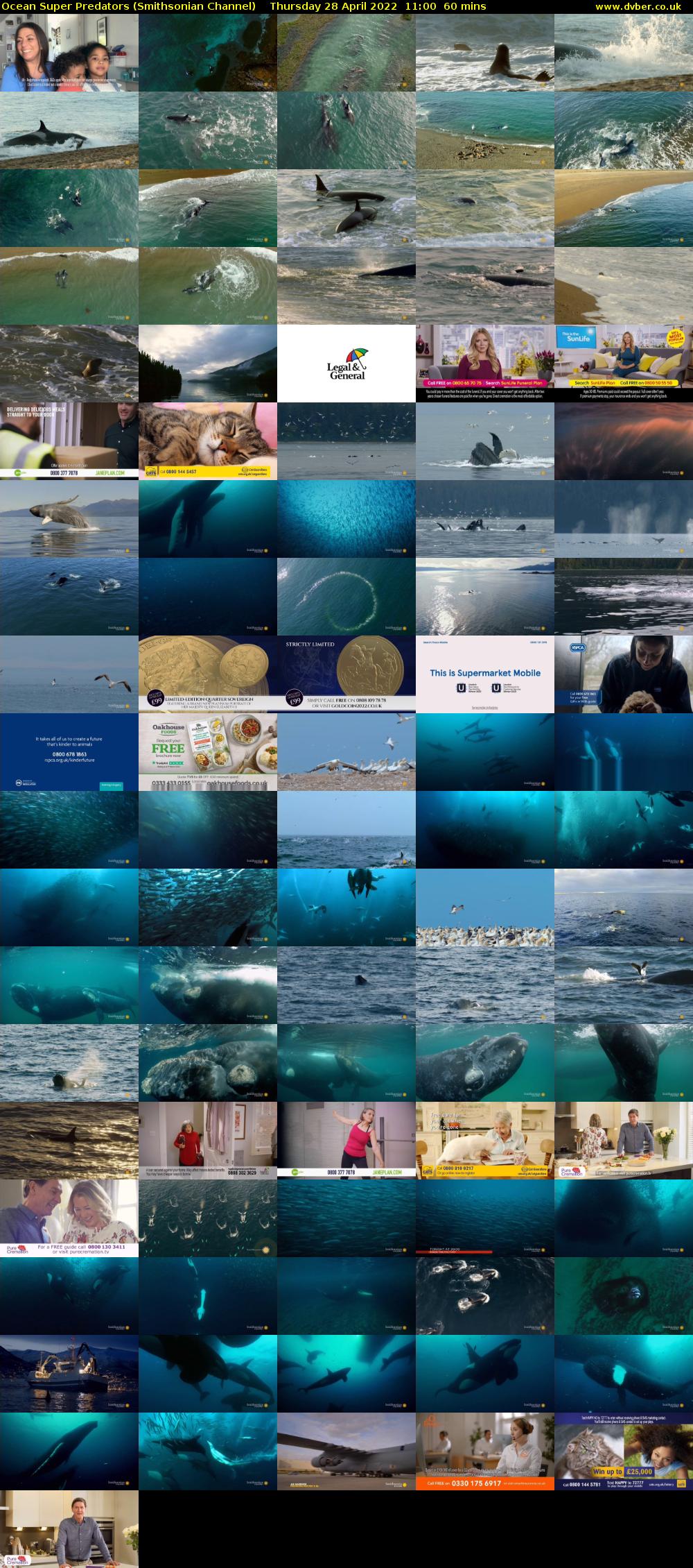 Ocean Super Predators (Smithsonian Channel) Thursday 28 April 2022 11:00 - 12:00
