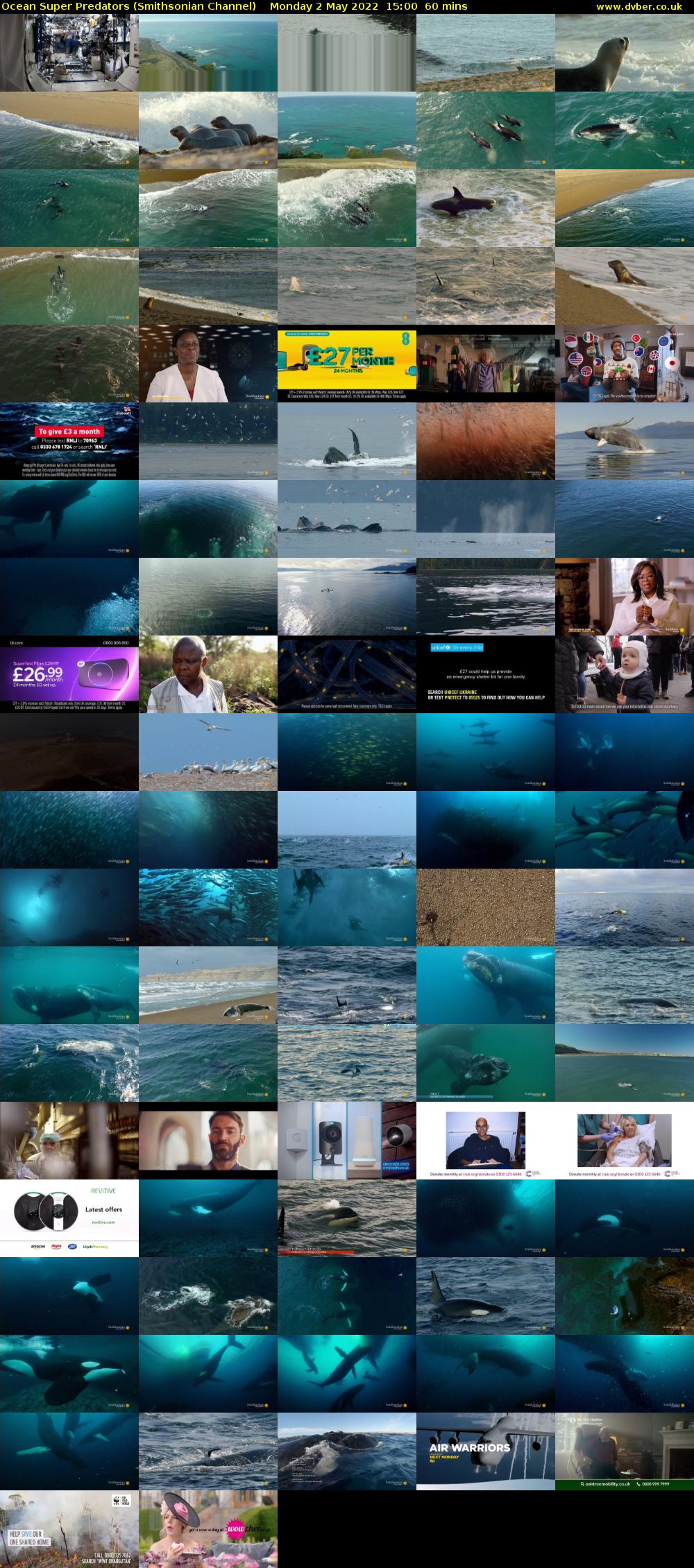 Ocean Super Predators (Smithsonian Channel) Monday 2 May 2022 15:00 - 16:00