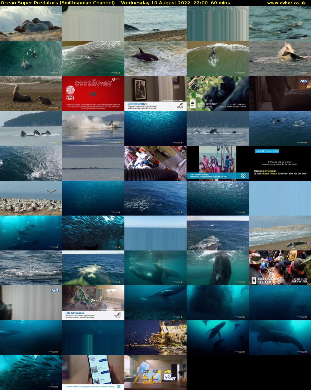Ocean Super Predators (Smithsonian Channel) Wednesday 10 August 2022 22:00 - 23:00