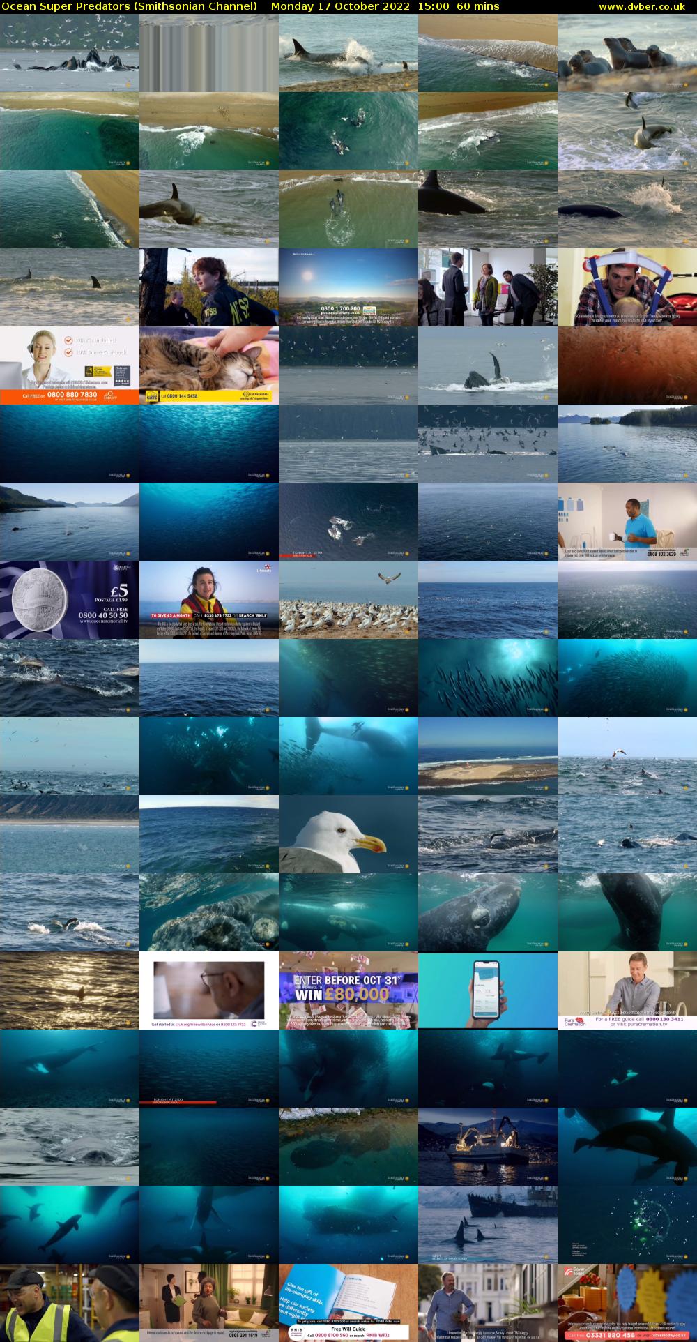 Ocean Super Predators (Smithsonian Channel) Monday 17 October 2022 15:00 - 16:00