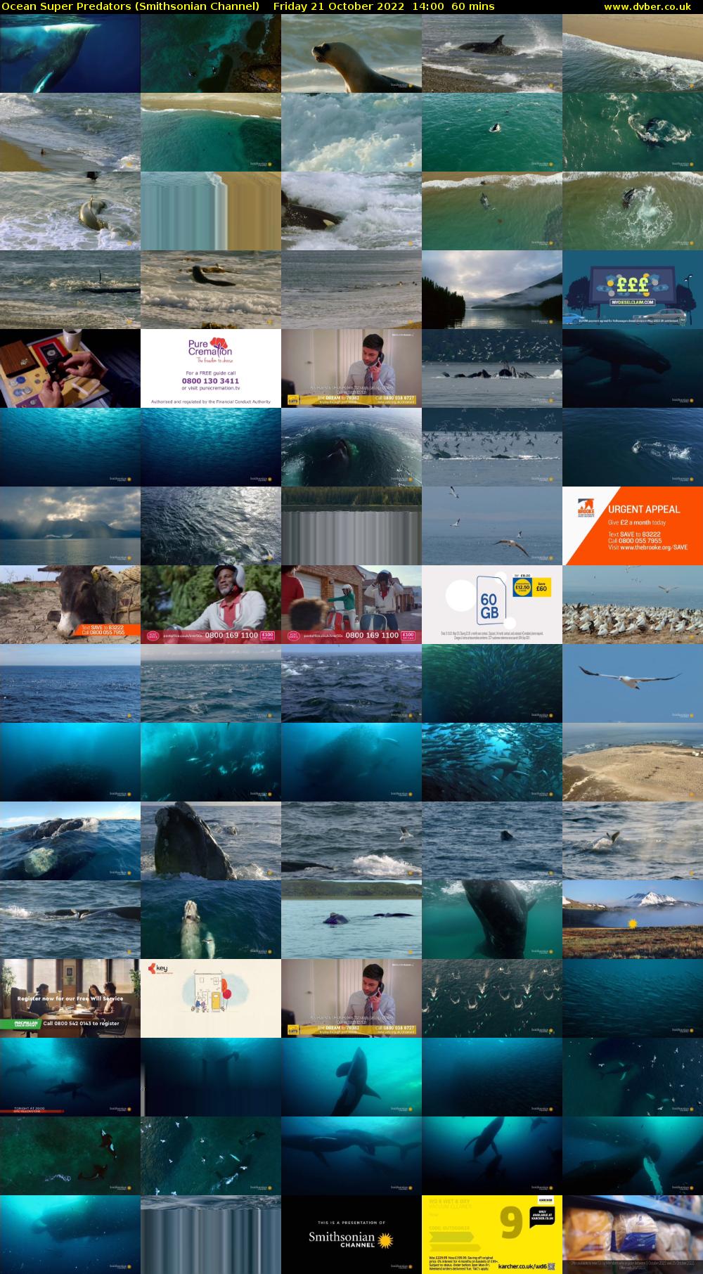 Ocean Super Predators (Smithsonian Channel) Friday 21 October 2022 14:00 - 15:00
