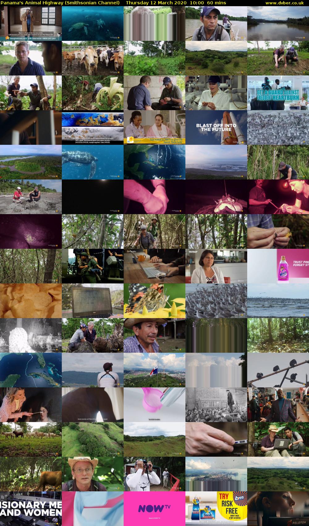 Panama's Animal Highway (Smithsonian Channel) Thursday 12 March 2020 10:00 - 11:00