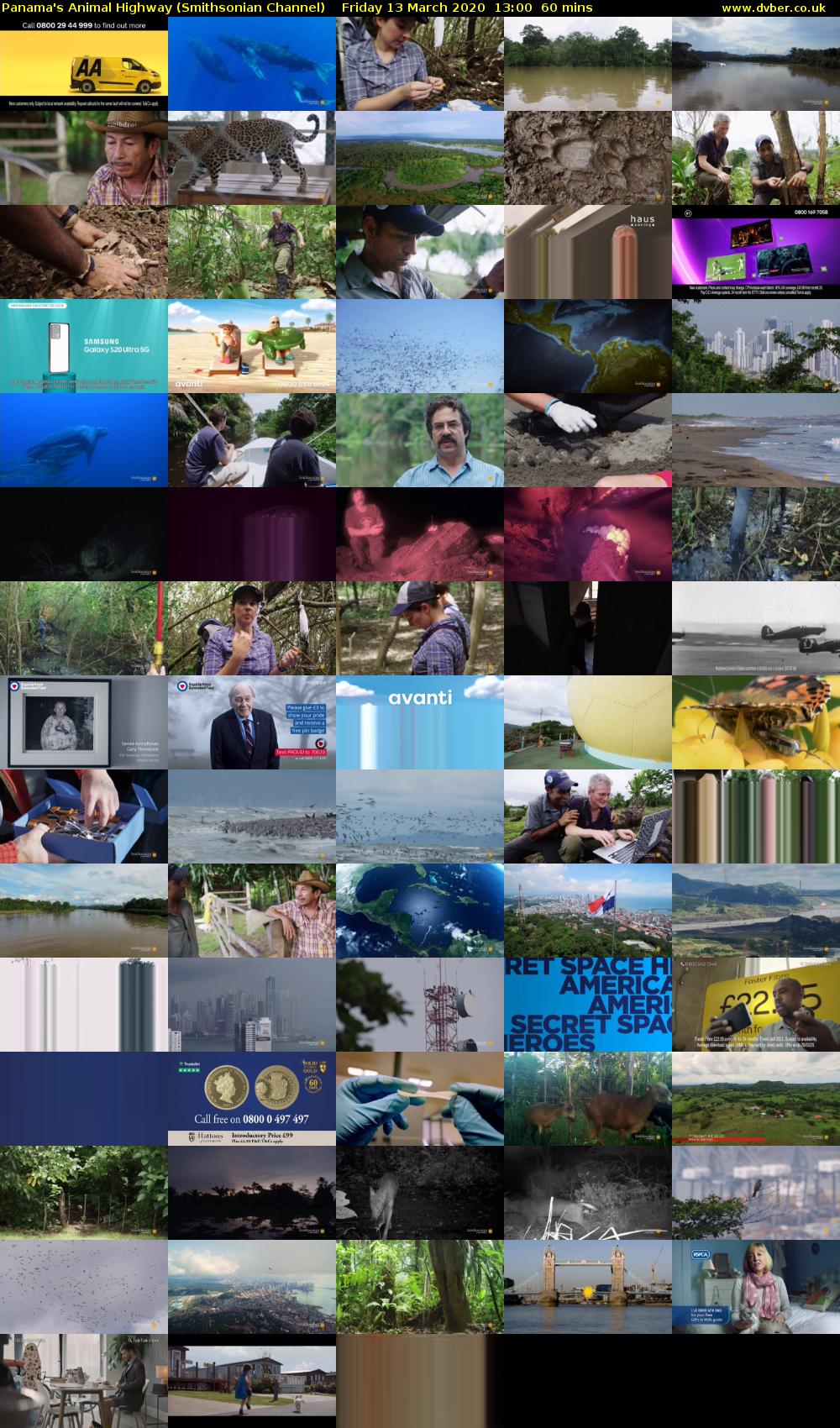 Panama's Animal Highway (Smithsonian Channel) Friday 13 March 2020 13:00 - 14:00