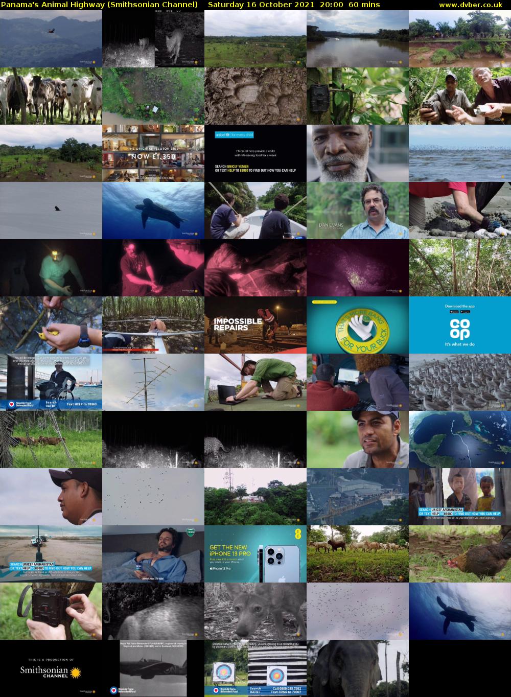 Panama's Animal Highway (Smithsonian Channel) Saturday 16 October 2021 20:00 - 21:00