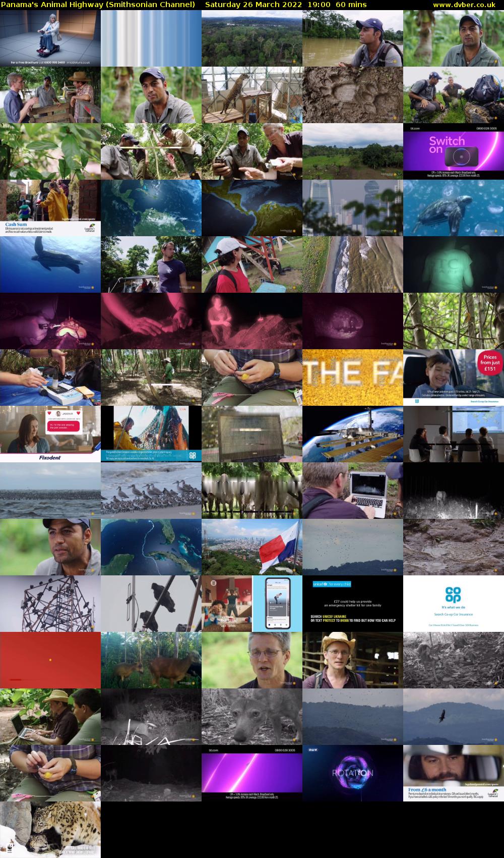 Panama's Animal Highway (Smithsonian Channel) Saturday 26 March 2022 19:00 - 20:00