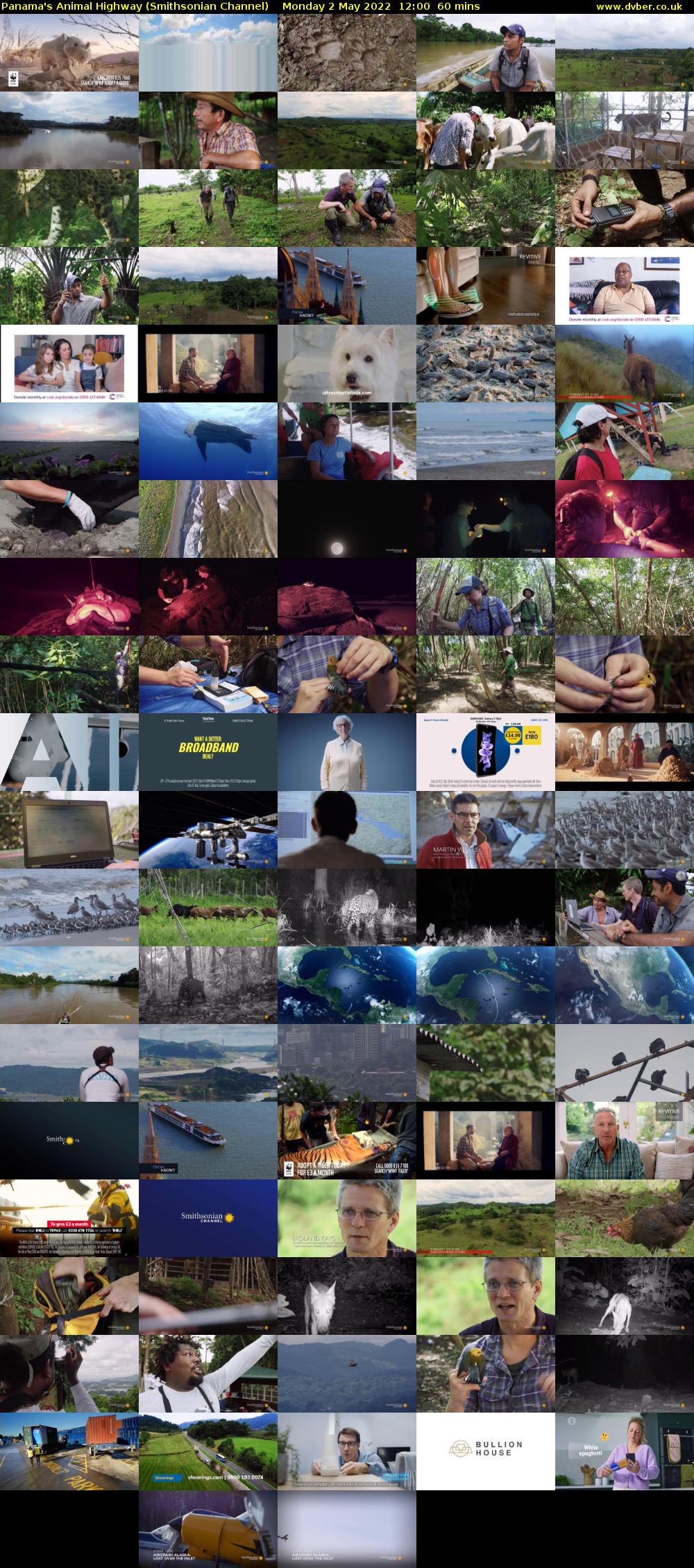 Panama's Animal Highway (Smithsonian Channel) Monday 2 May 2022 12:00 - 13:00