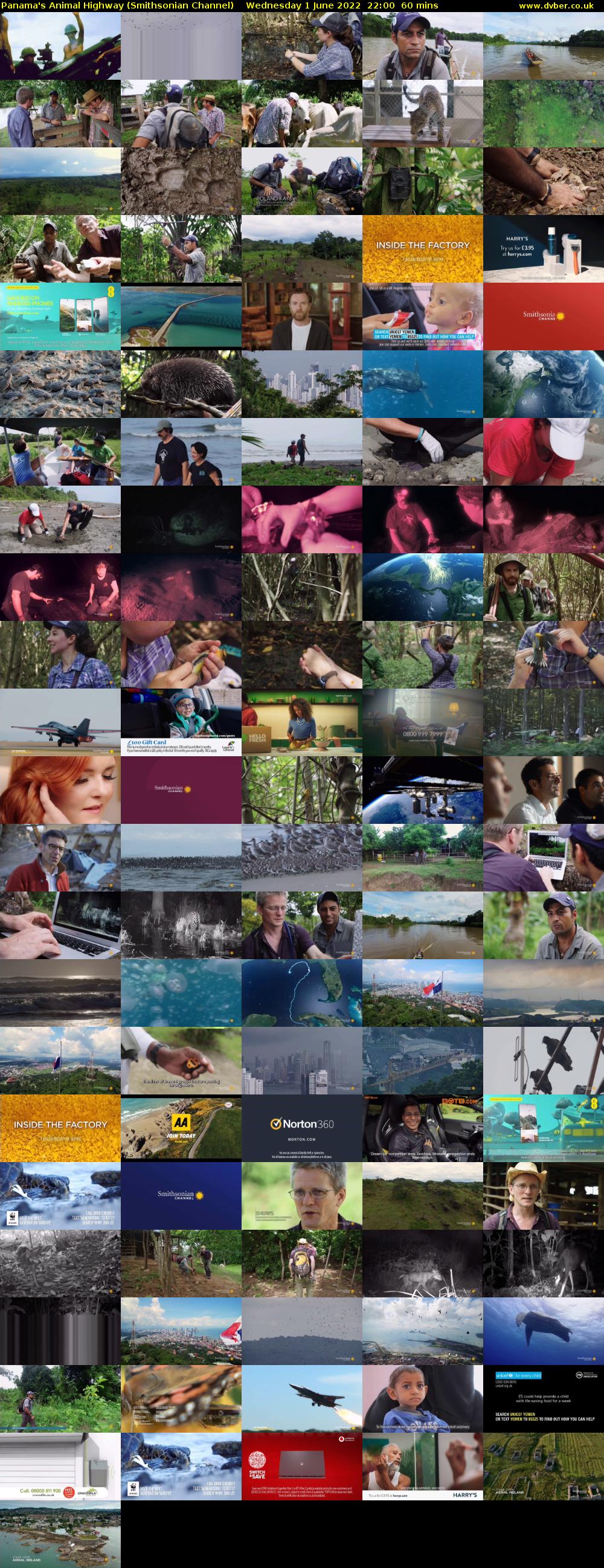 Panama's Animal Highway (Smithsonian Channel) Wednesday 1 June 2022 22:00 - 23:00