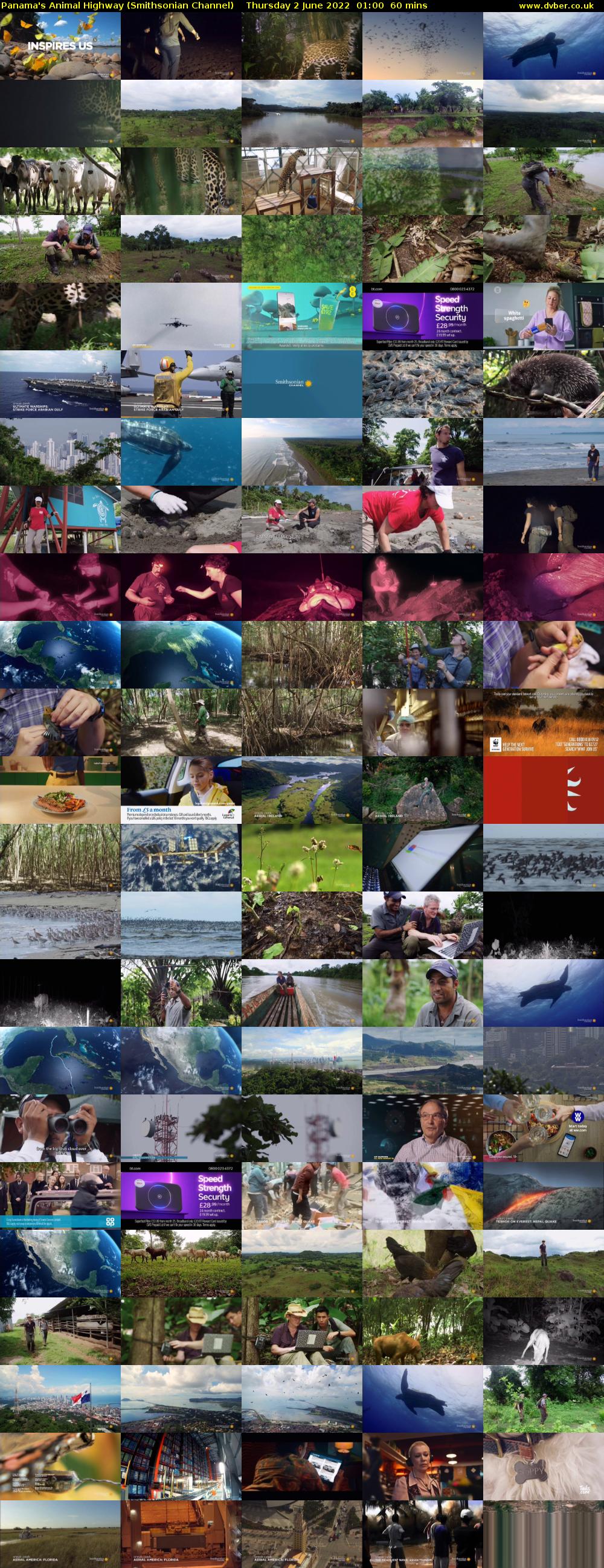 Panama's Animal Highway (Smithsonian Channel) Thursday 2 June 2022 01:00 - 02:00