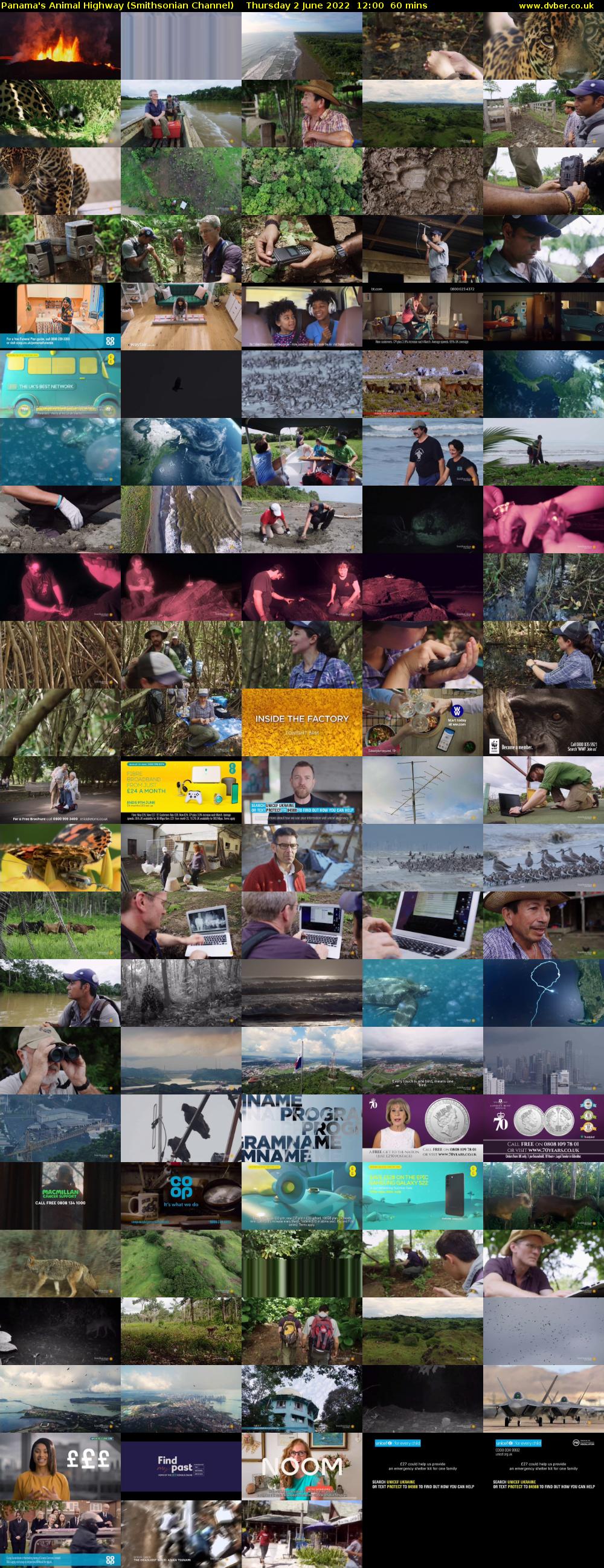 Panama's Animal Highway (Smithsonian Channel) Thursday 2 June 2022 12:00 - 13:00