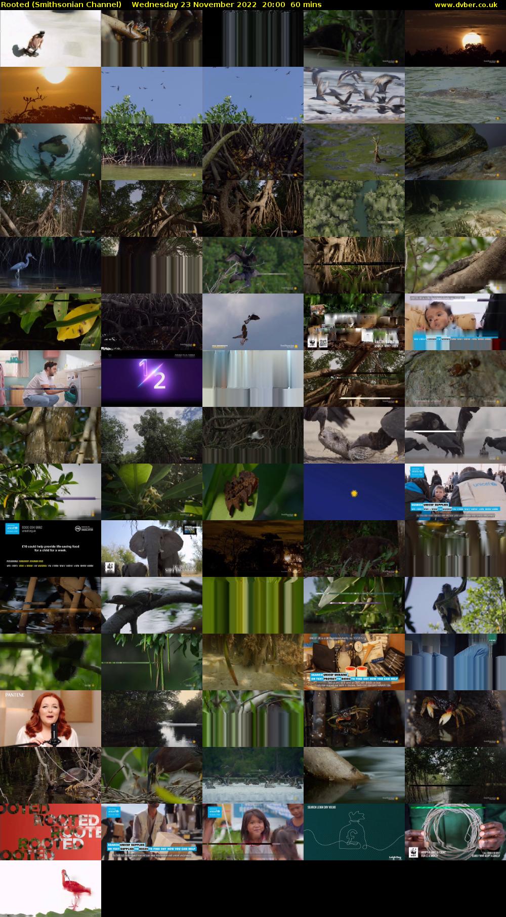 Rooted (Smithsonian Channel) Wednesday 23 November 2022 20:00 - 21:00
