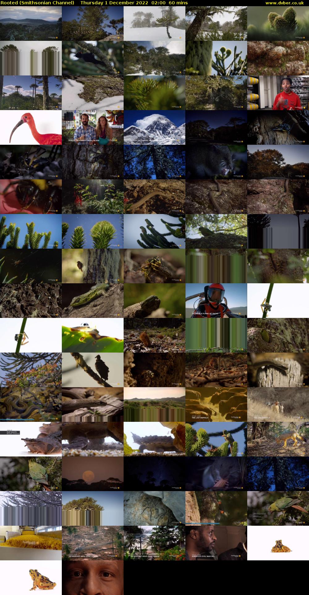 Rooted (Smithsonian Channel) Thursday 1 December 2022 02:00 - 03:00