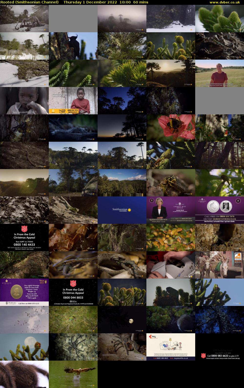 Rooted (Smithsonian Channel) Thursday 1 December 2022 10:00 - 11:00