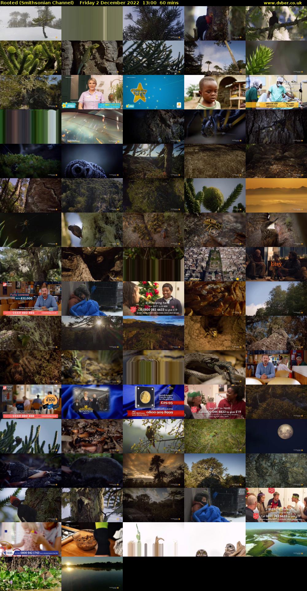 Rooted (Smithsonian Channel) Friday 2 December 2022 13:00 - 14:00