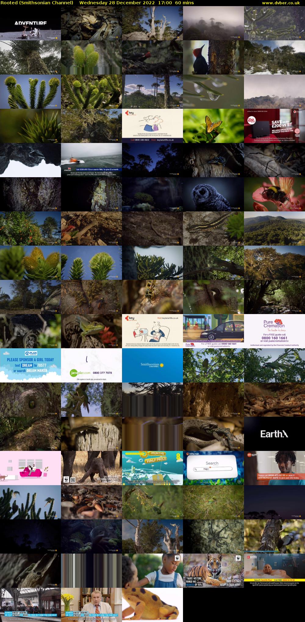 Rooted (Smithsonian Channel) Wednesday 28 December 2022 17:00 - 18:00