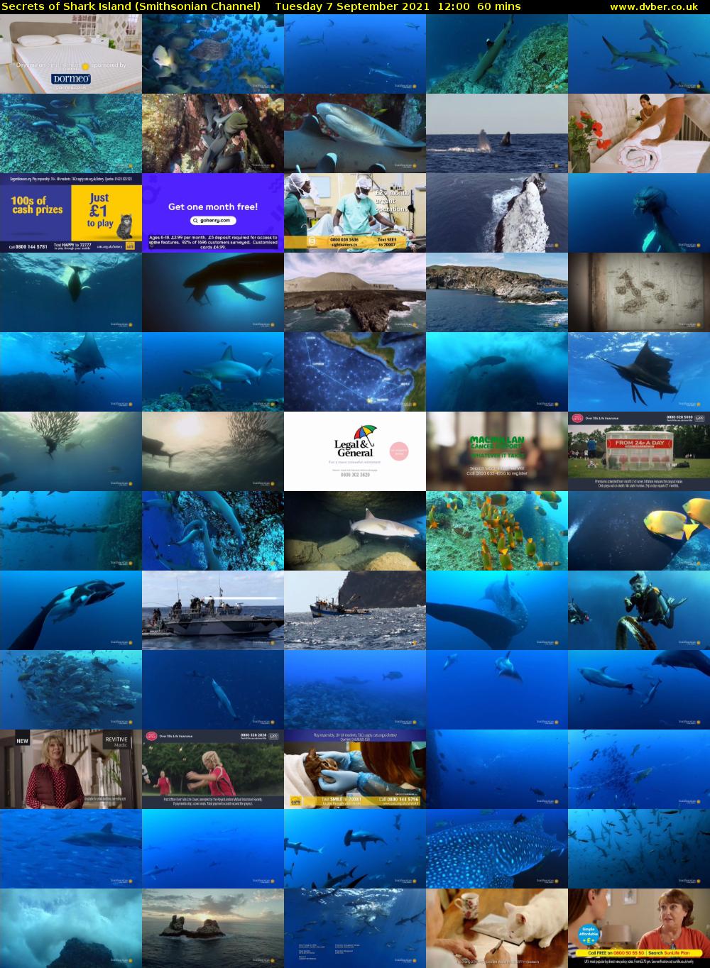 Secrets of Shark Island (Smithsonian Channel) Tuesday 7 September 2021 13:00 - 14:00