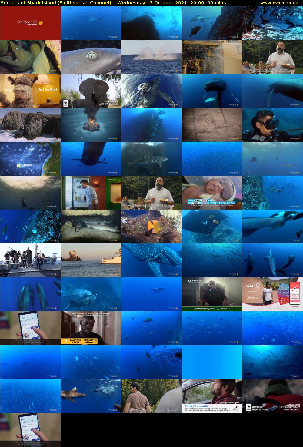 Secrets of Shark Island (Smithsonian Channel) Wednesday 13 October 2021 20:00 - 21:00