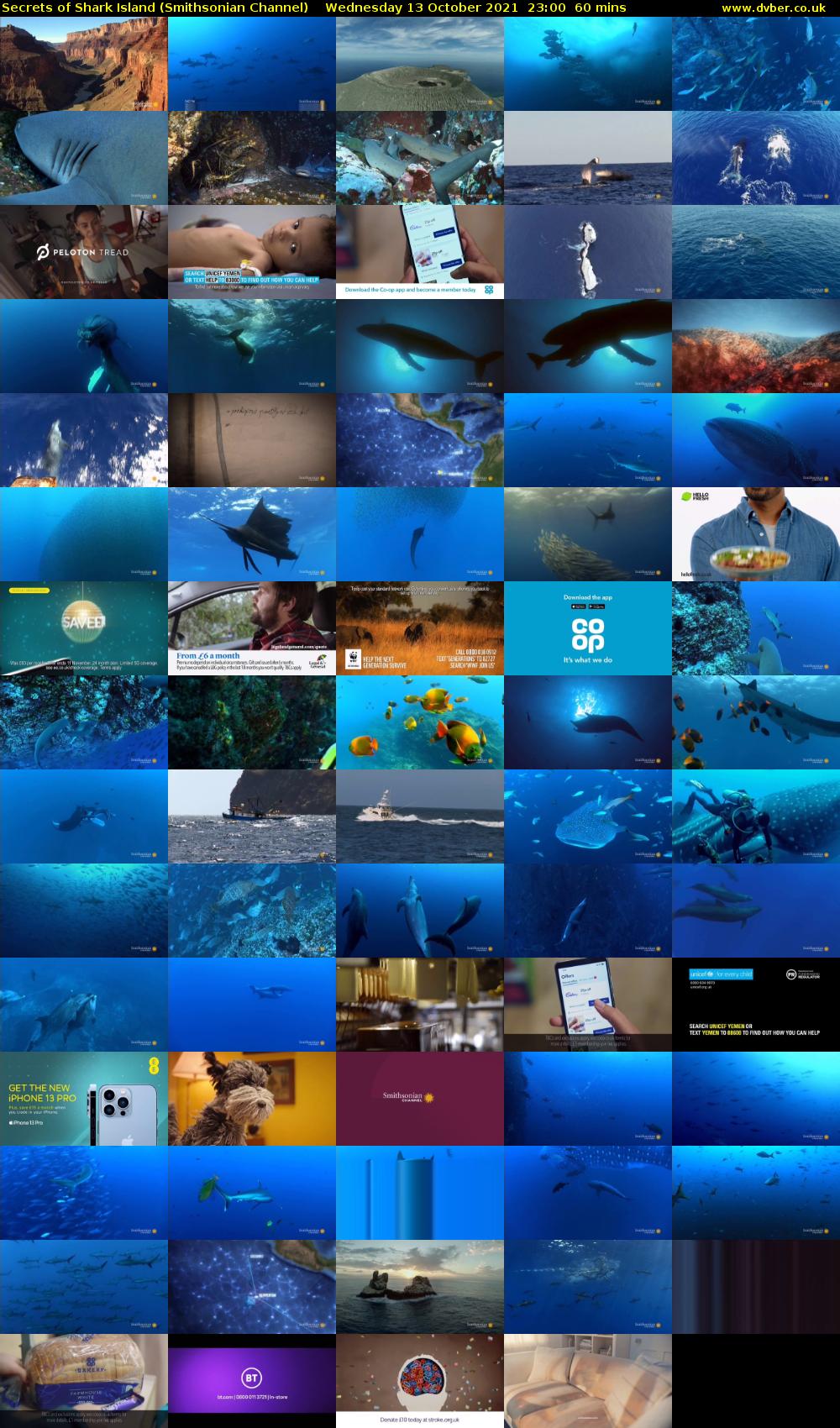 Secrets of Shark Island (Smithsonian Channel) Wednesday 13 October 2021 23:00 - 00:00