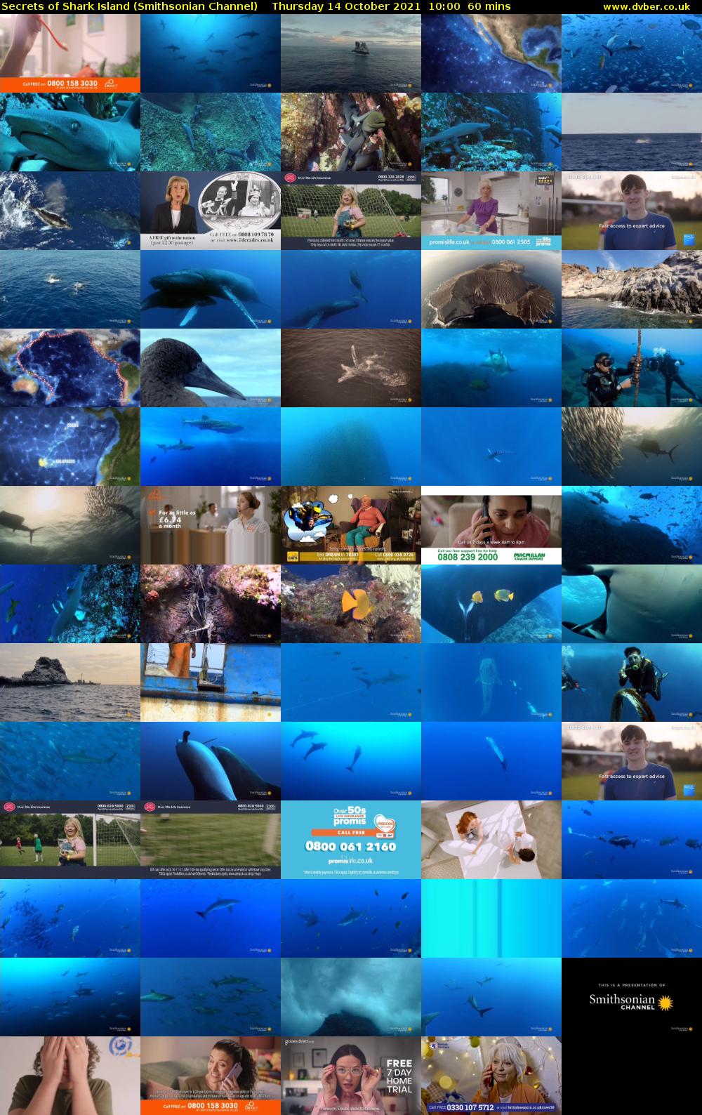 Secrets of Shark Island (Smithsonian Channel) Thursday 14 October 2021 10:00 - 11:00