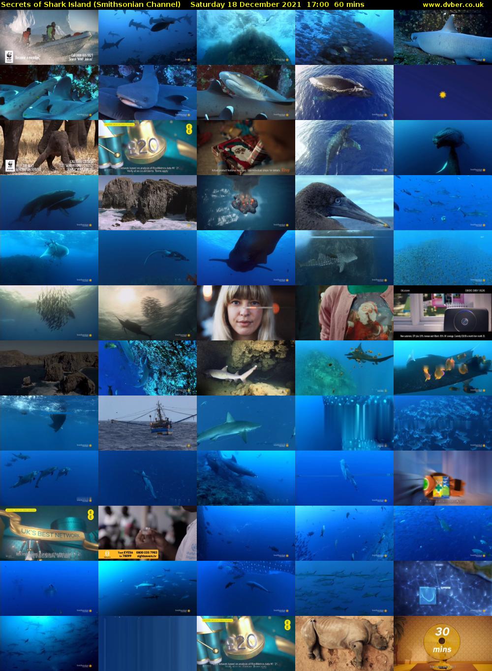 Secrets of Shark Island (Smithsonian Channel) Saturday 18 December 2021 17:00 - 18:00