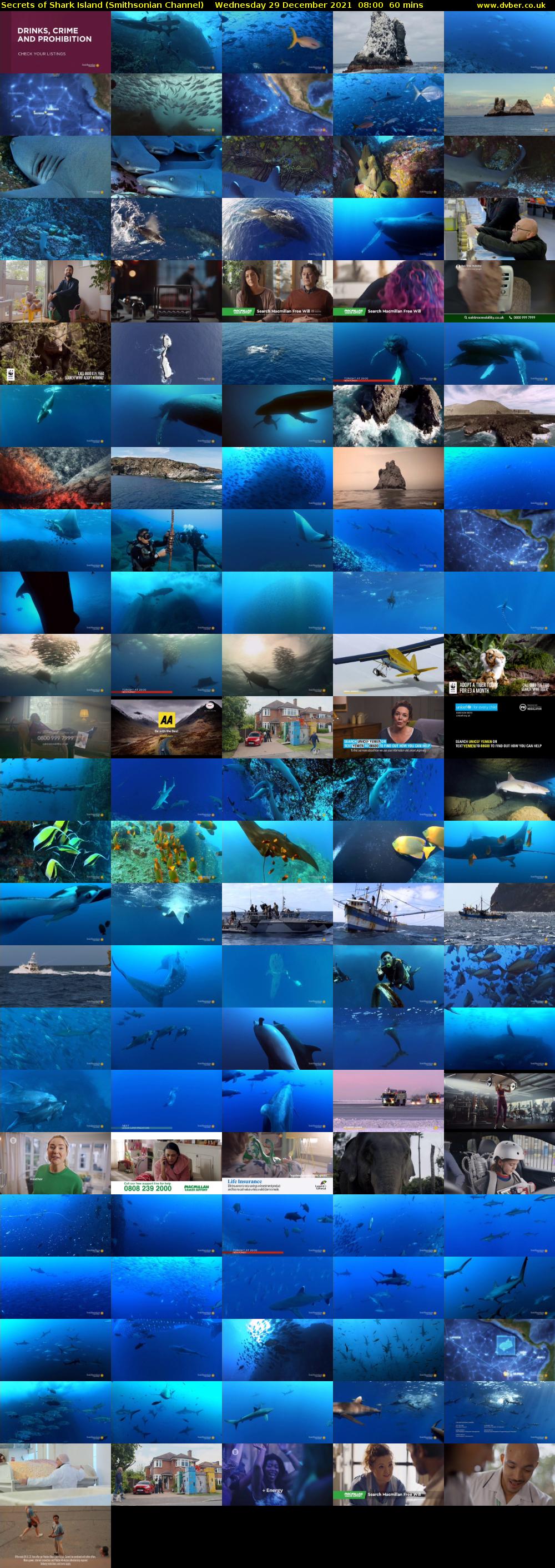 Secrets of Shark Island (Smithsonian Channel) Wednesday 29 December 2021 08:00 - 09:00