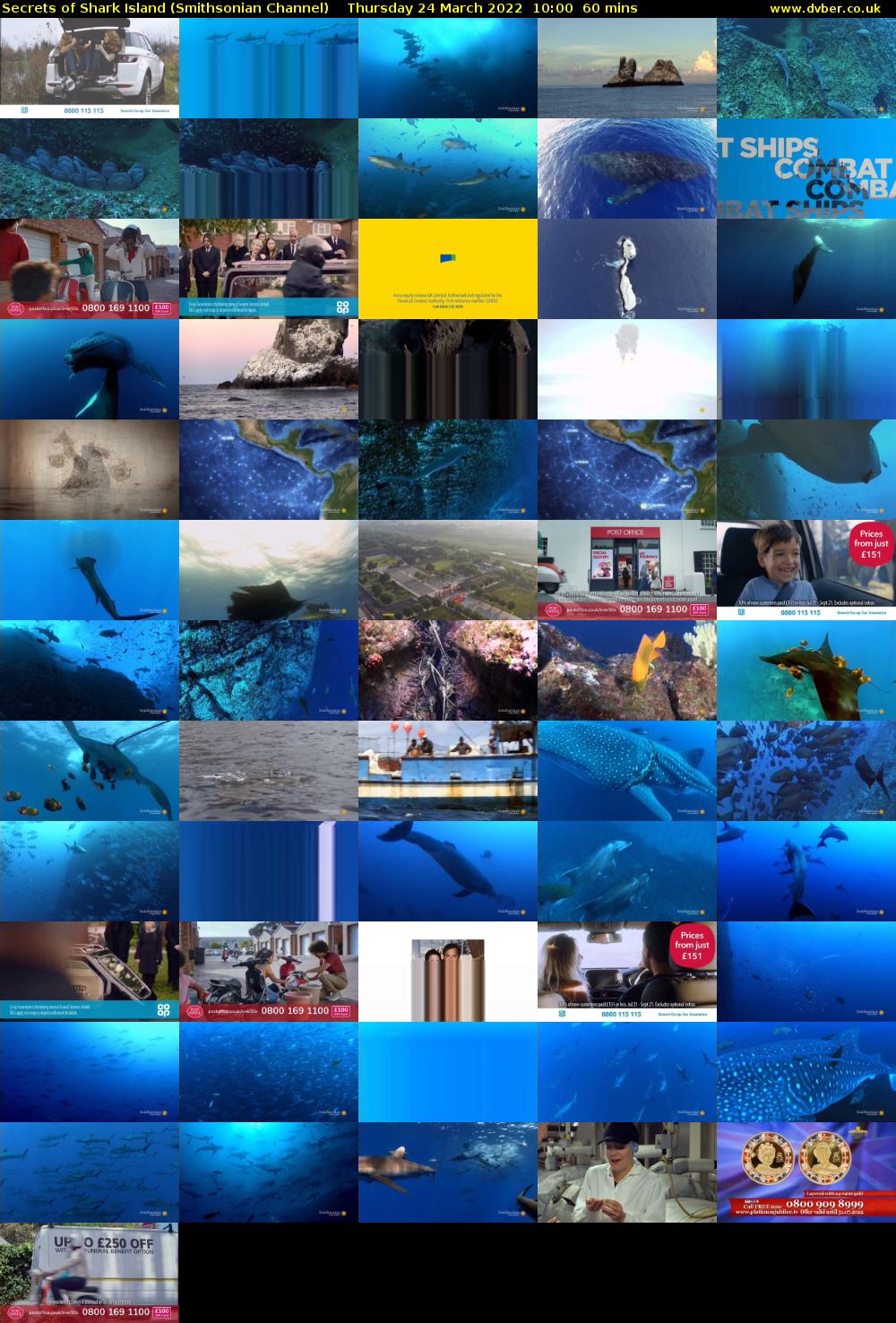 Secrets of Shark Island (Smithsonian Channel) Thursday 24 March 2022 10:00 - 11:00